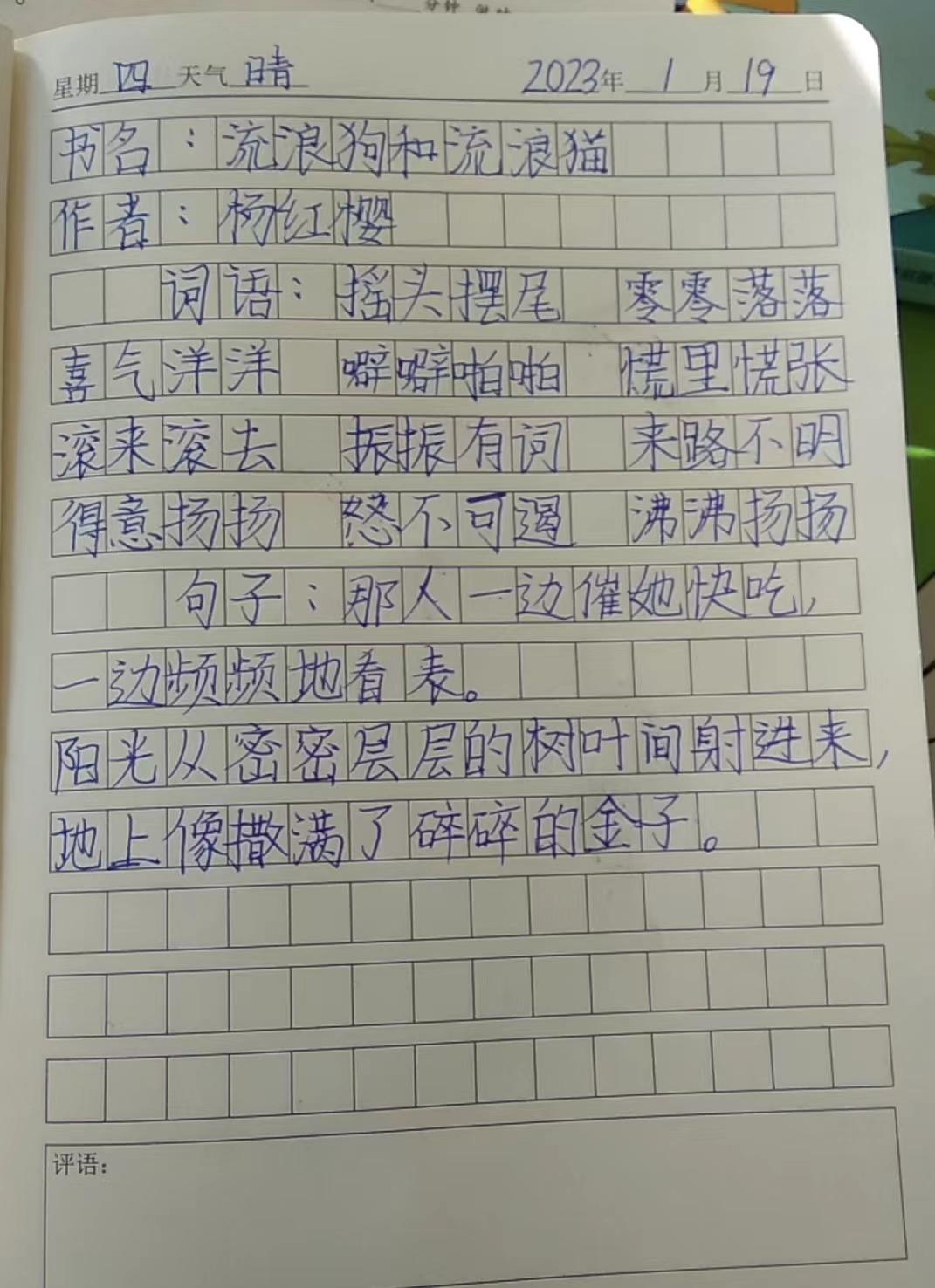 图像