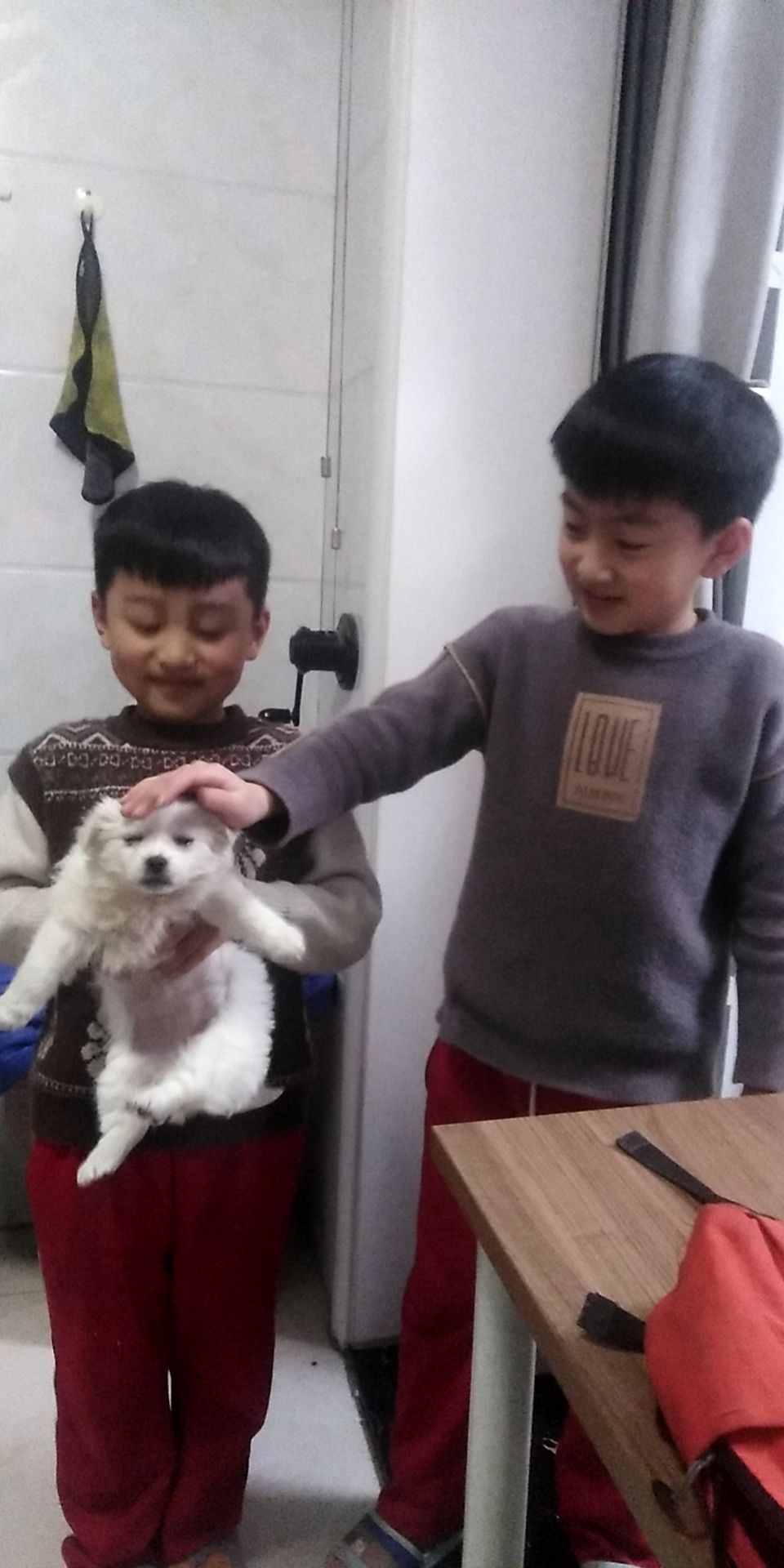 图像