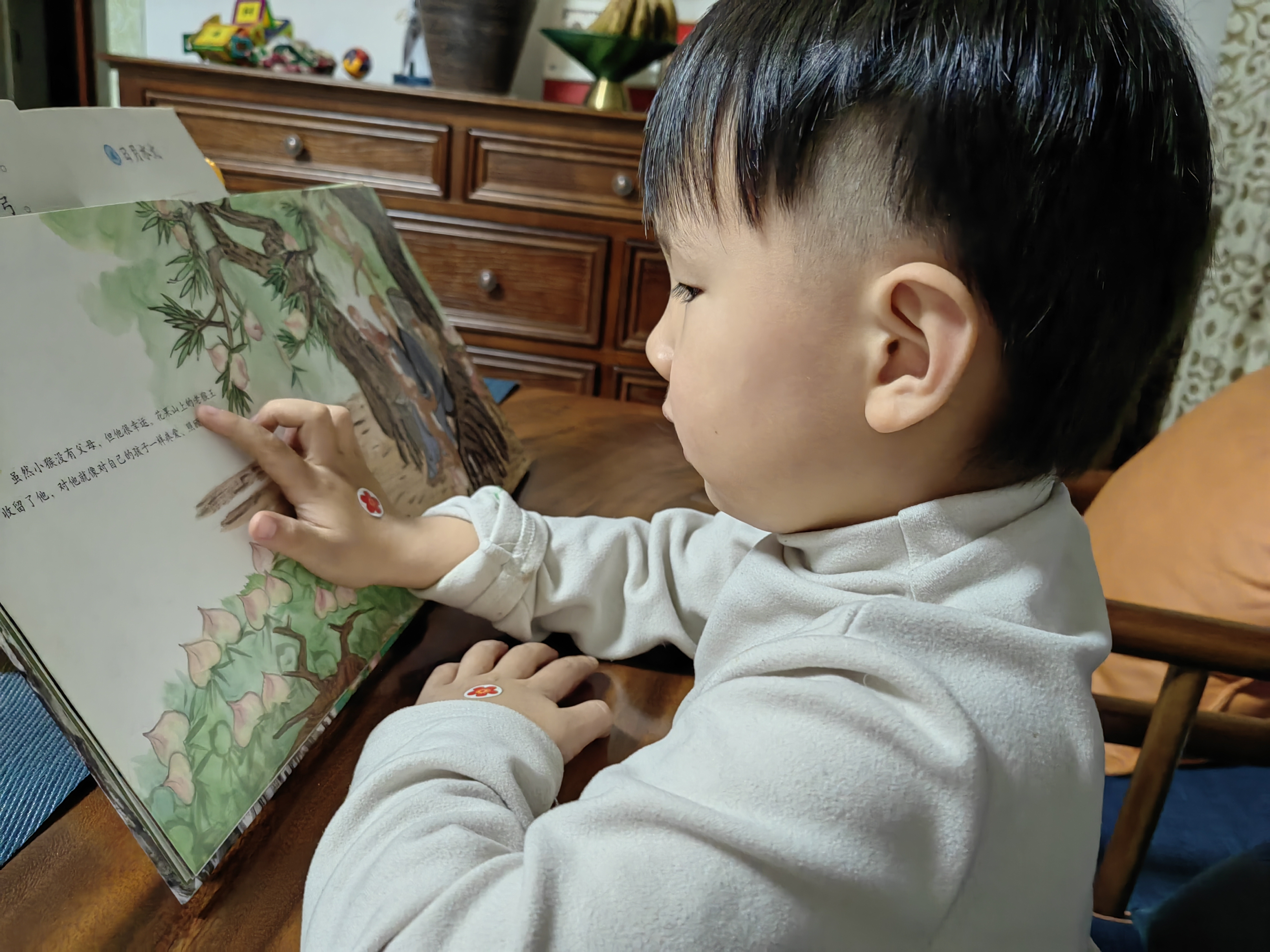 图像