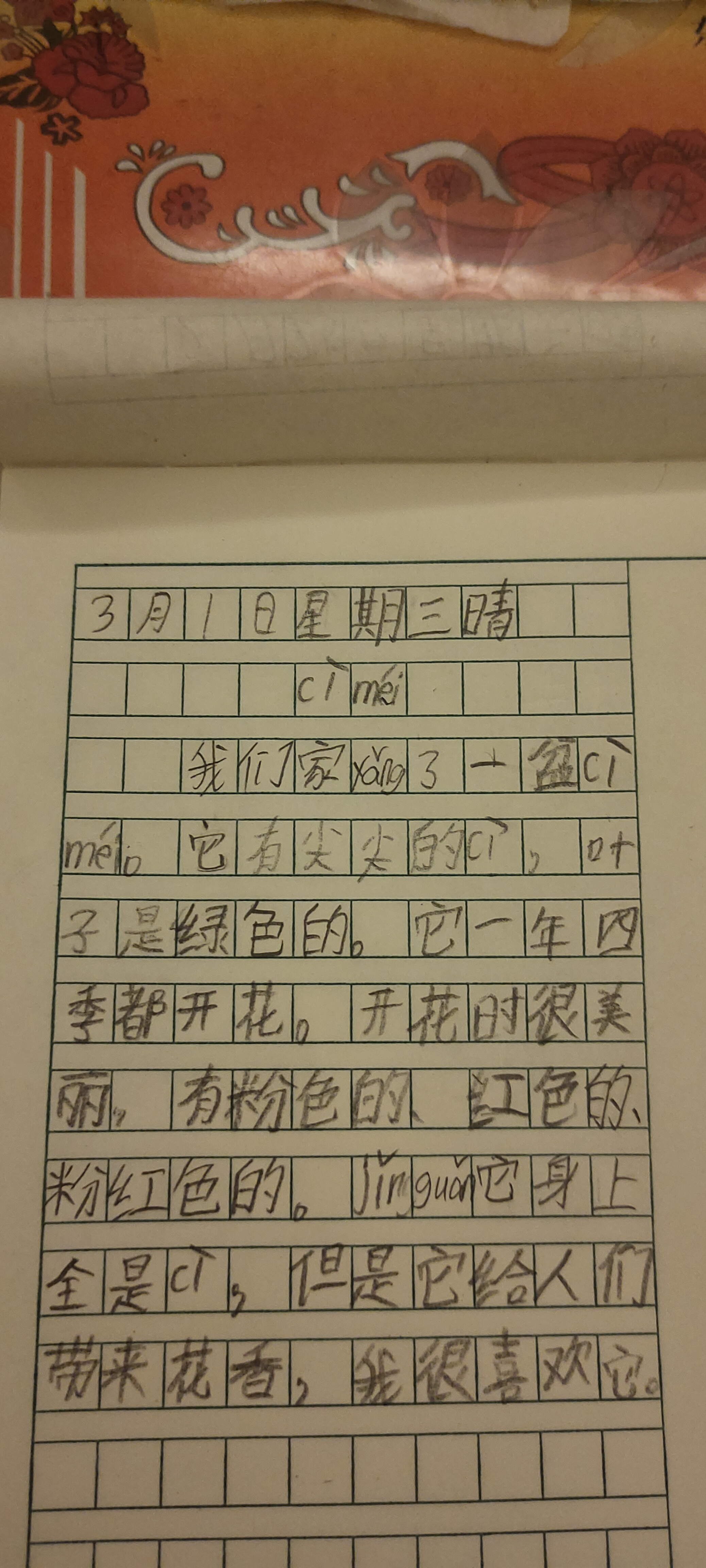 图像