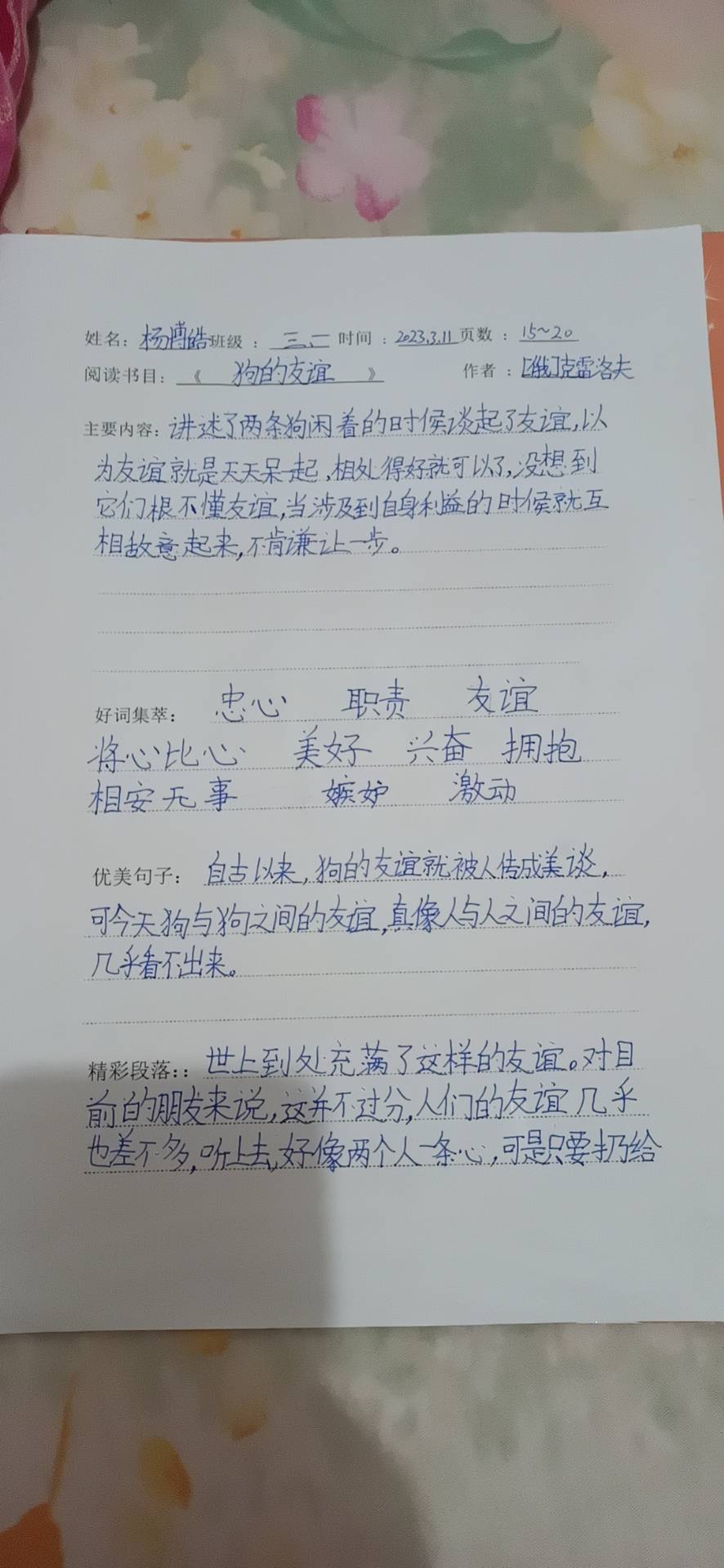 图像