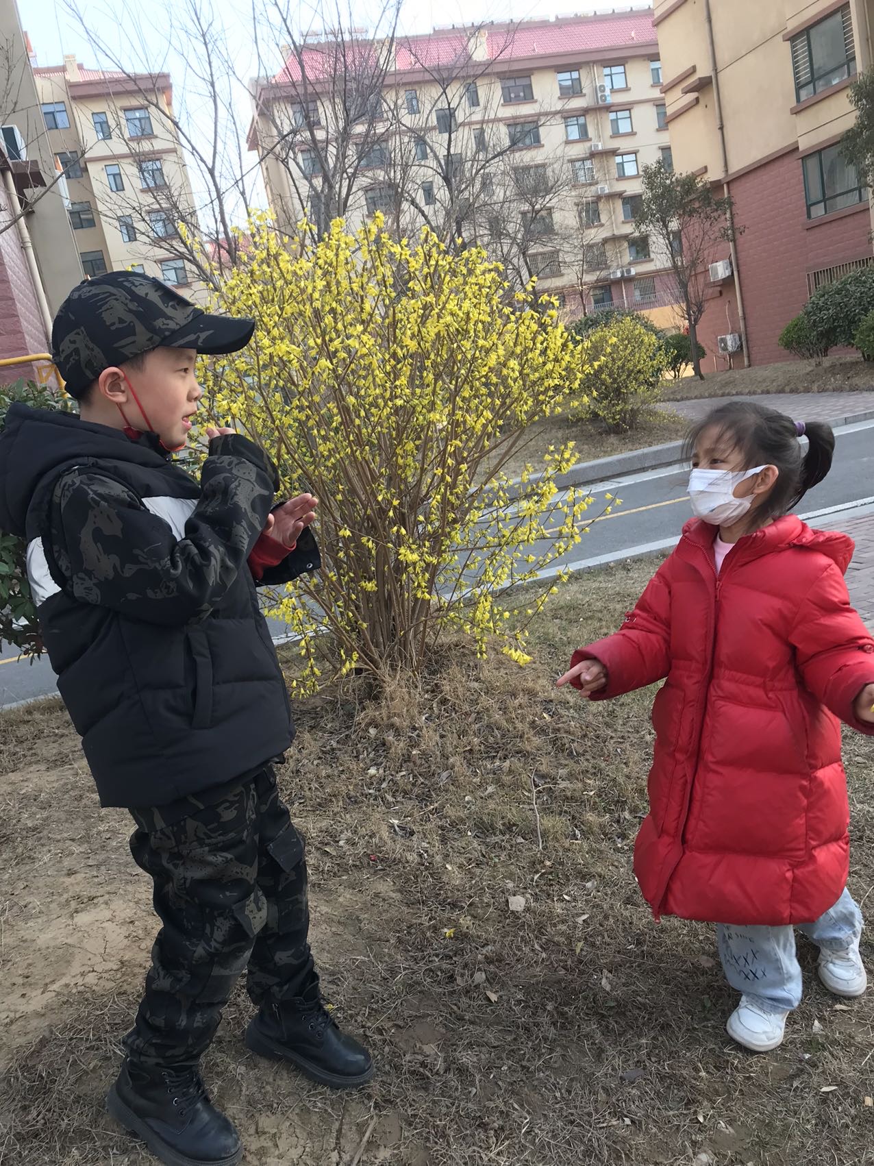 图像