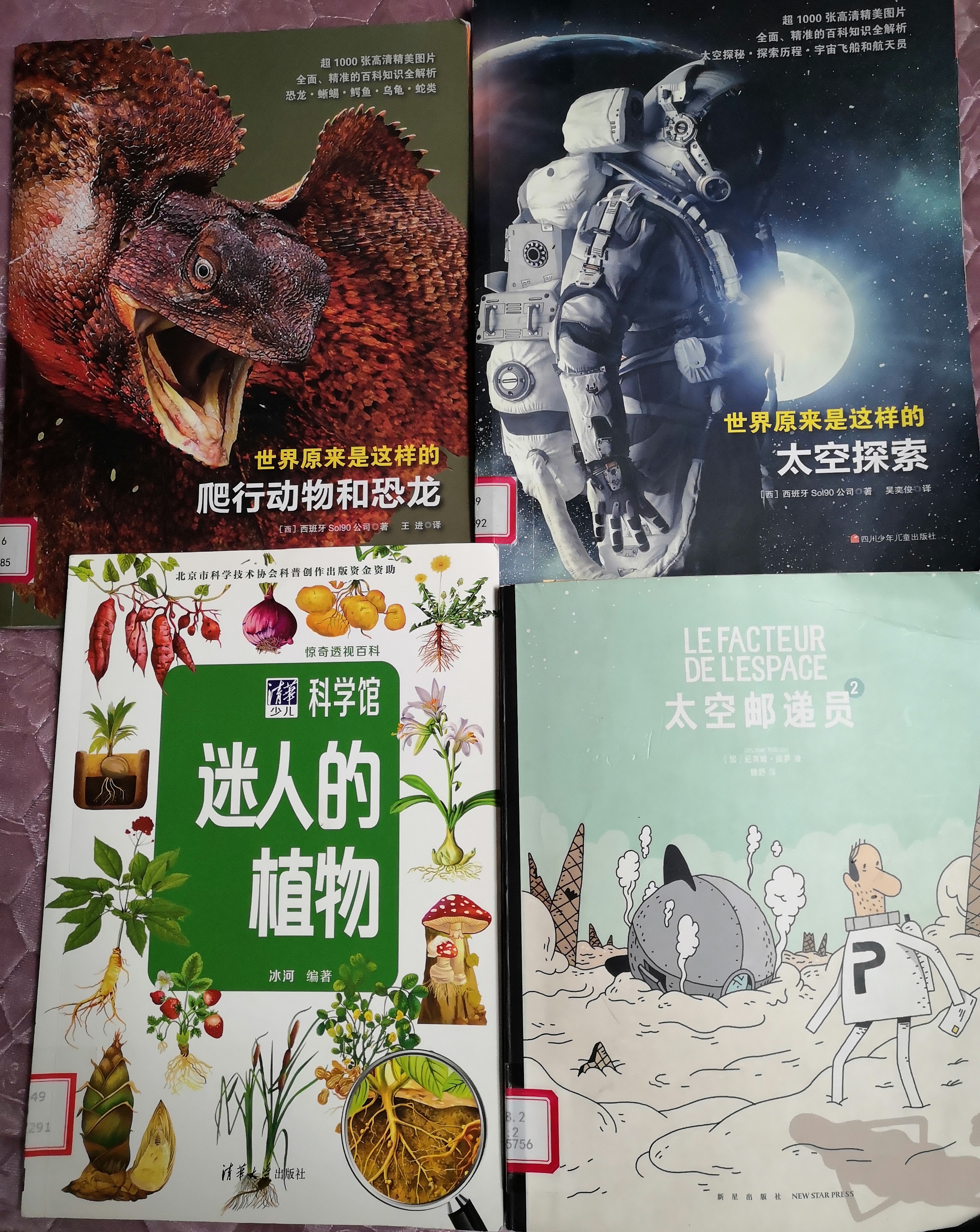图像