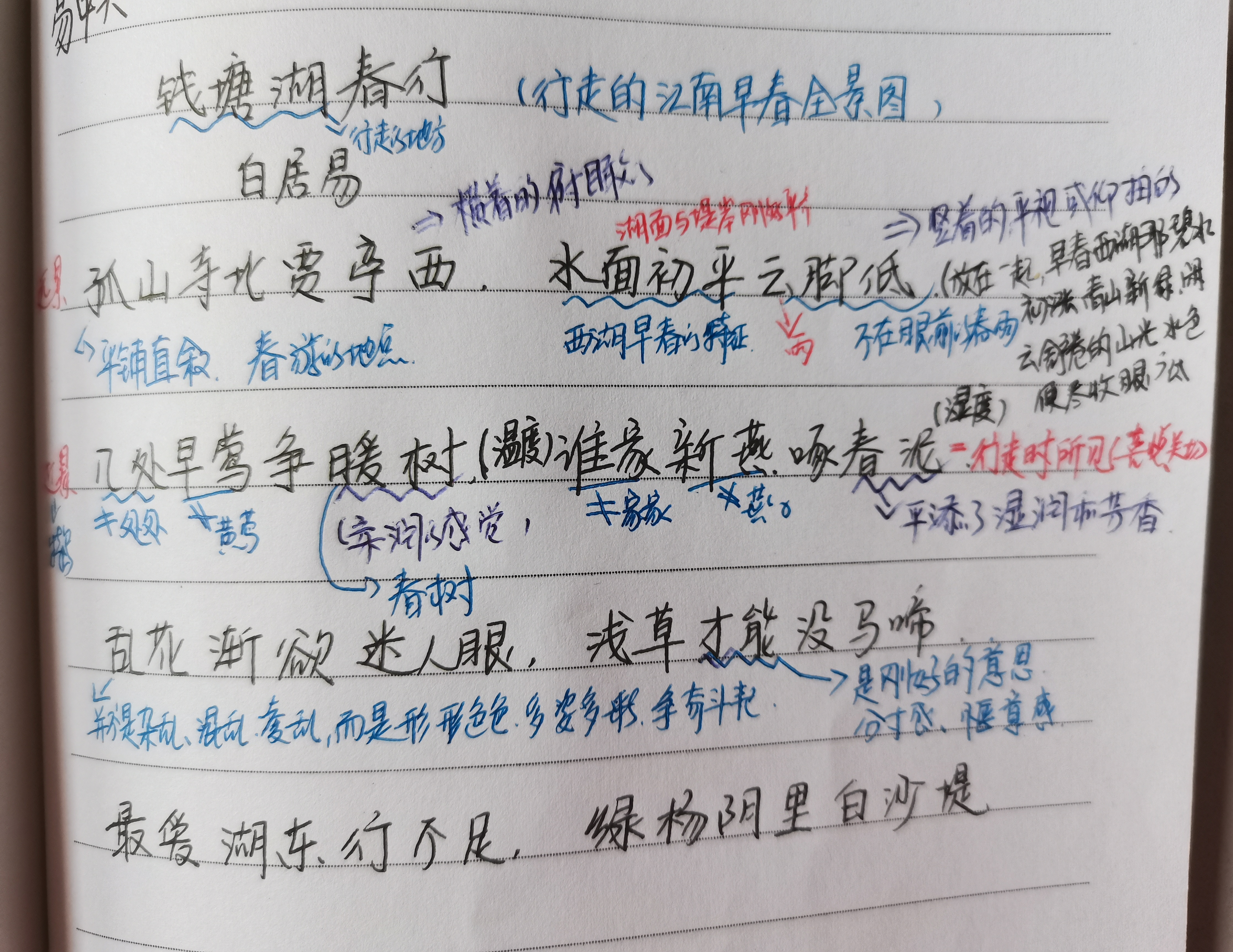 图像