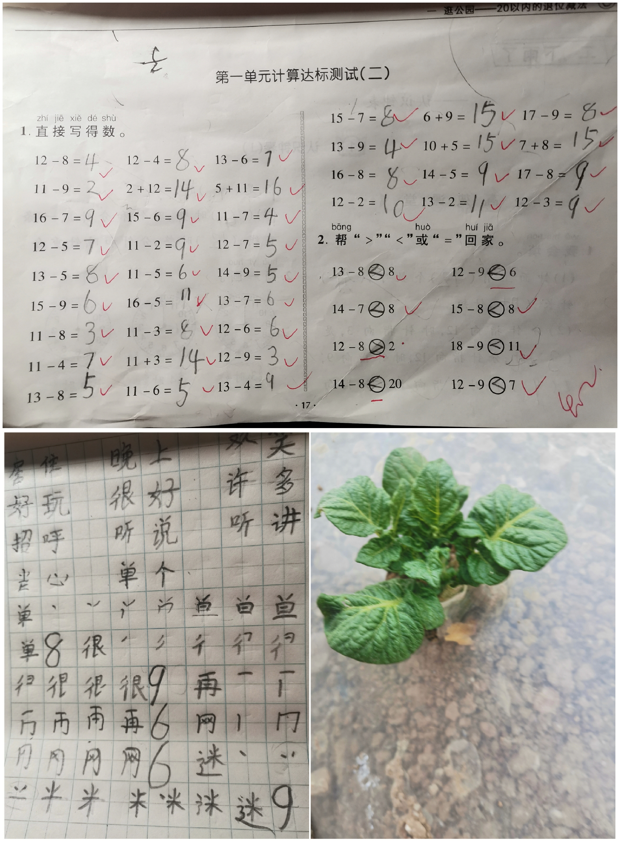图像