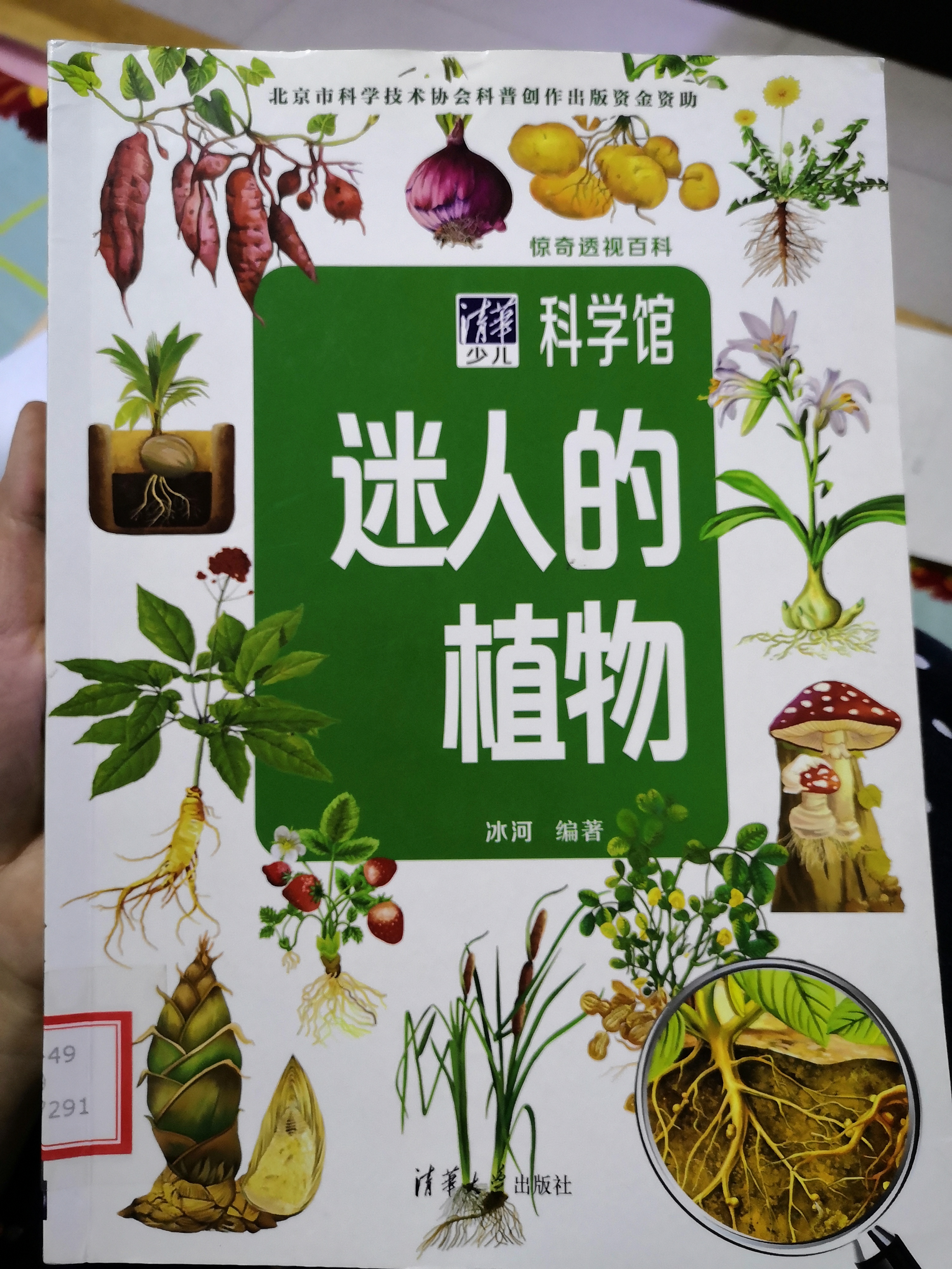 图像