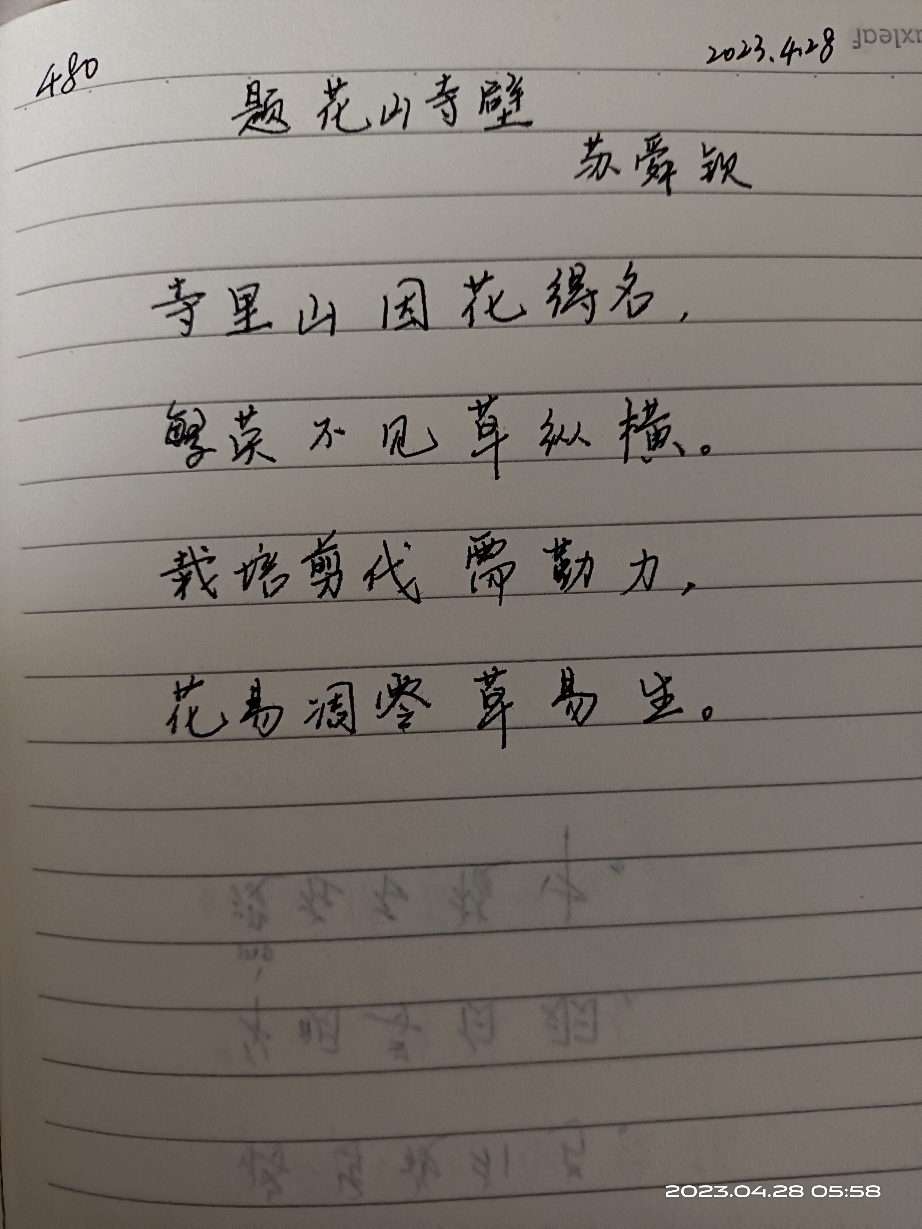 图像