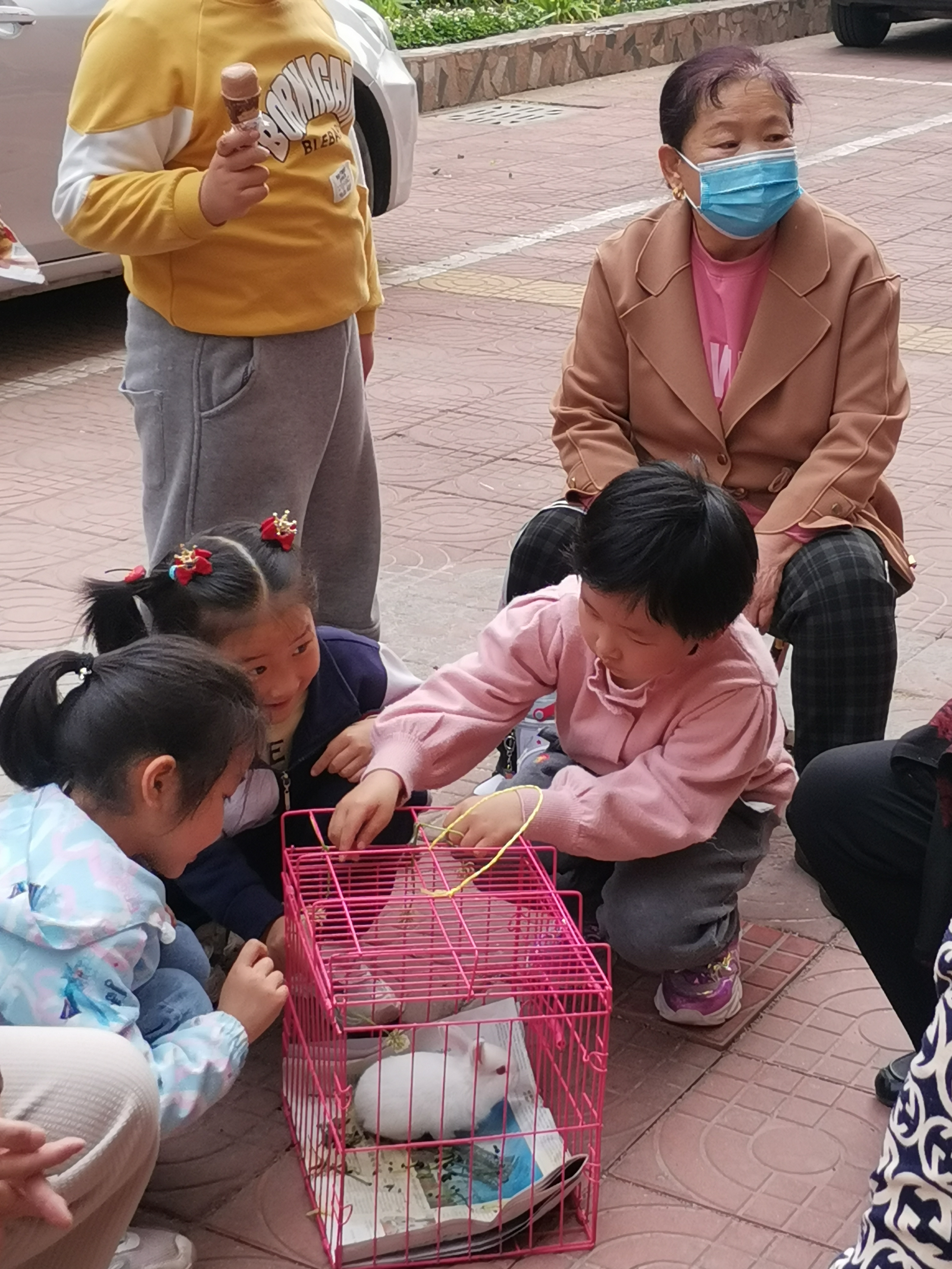 图像