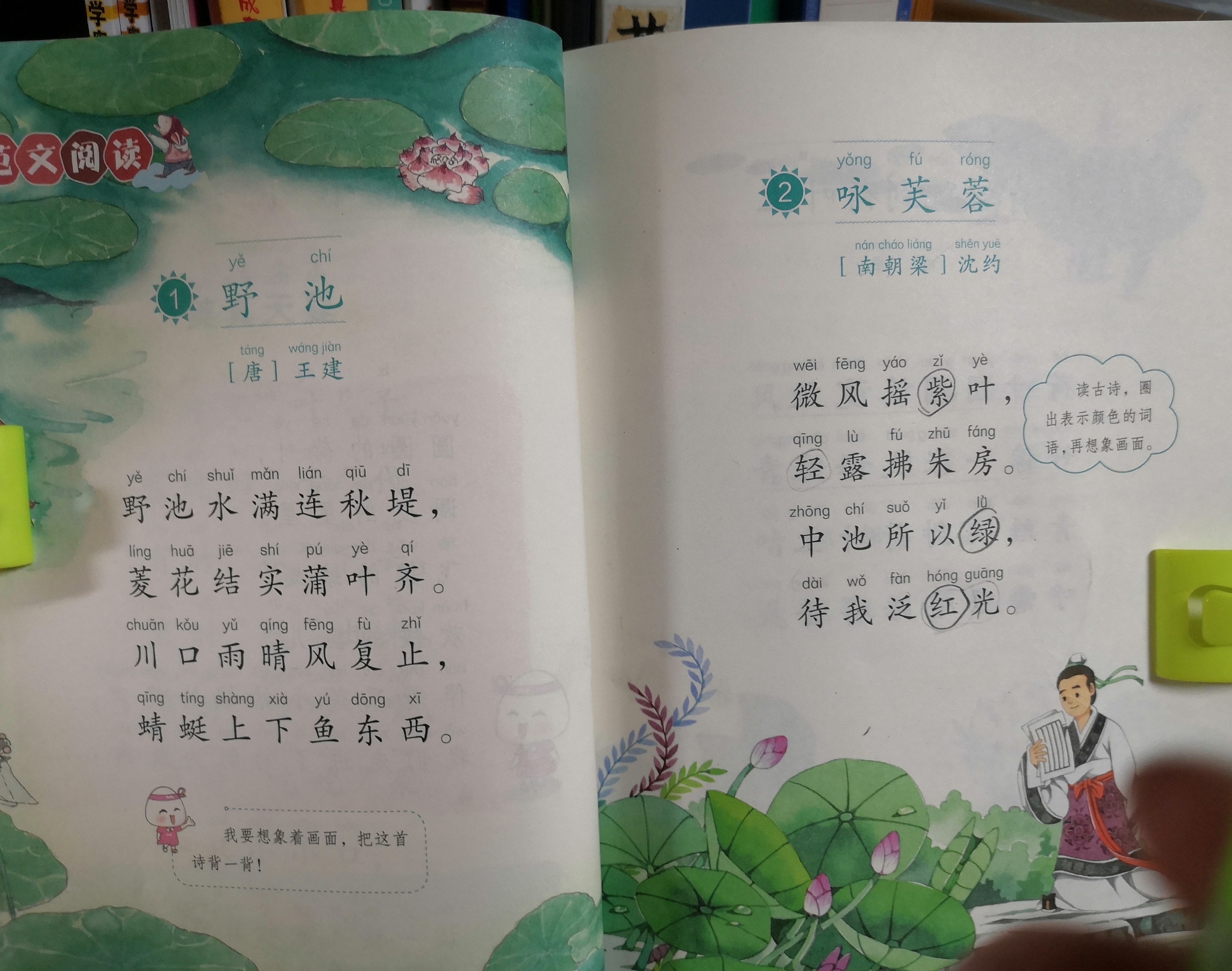 图像