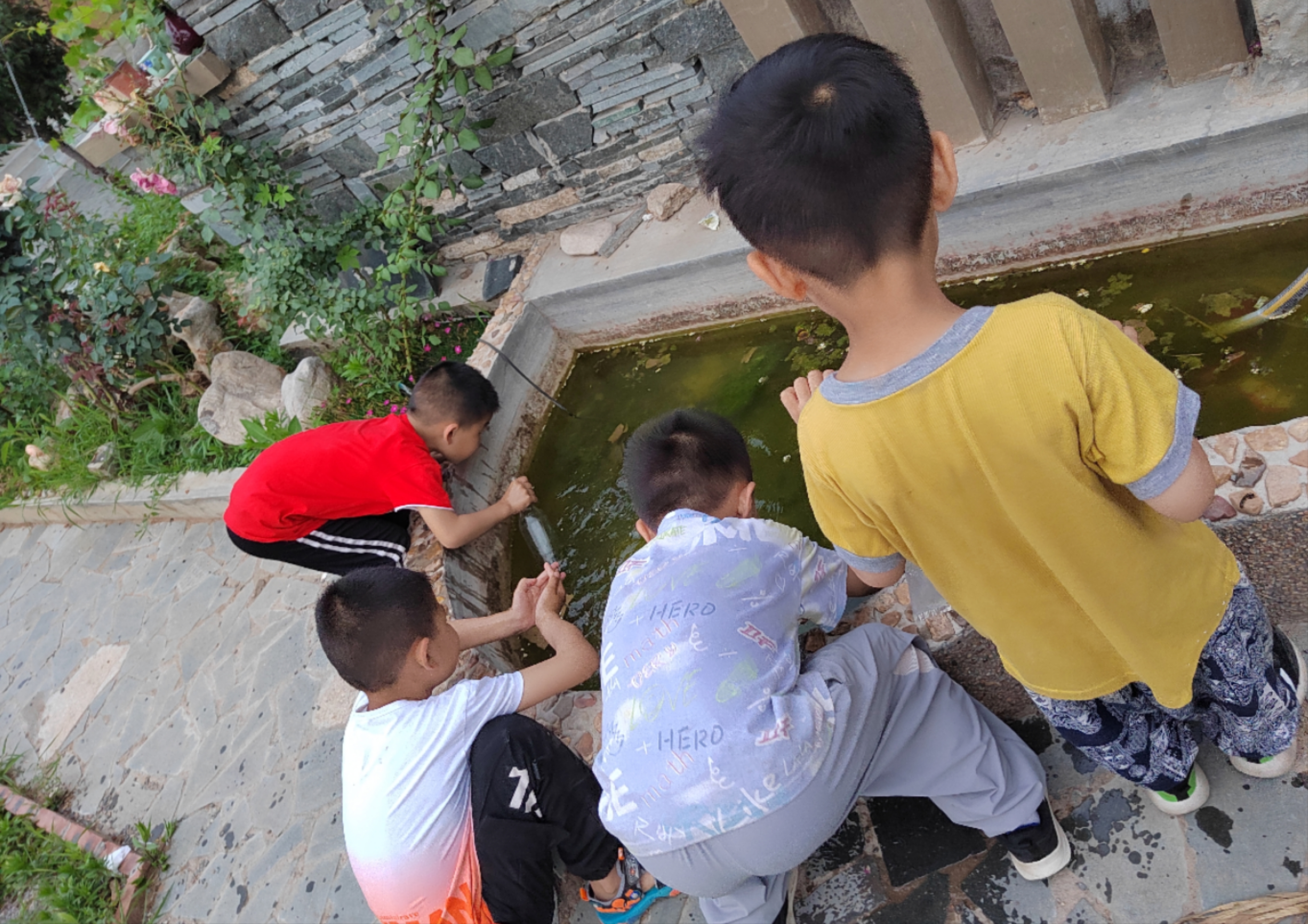 图像