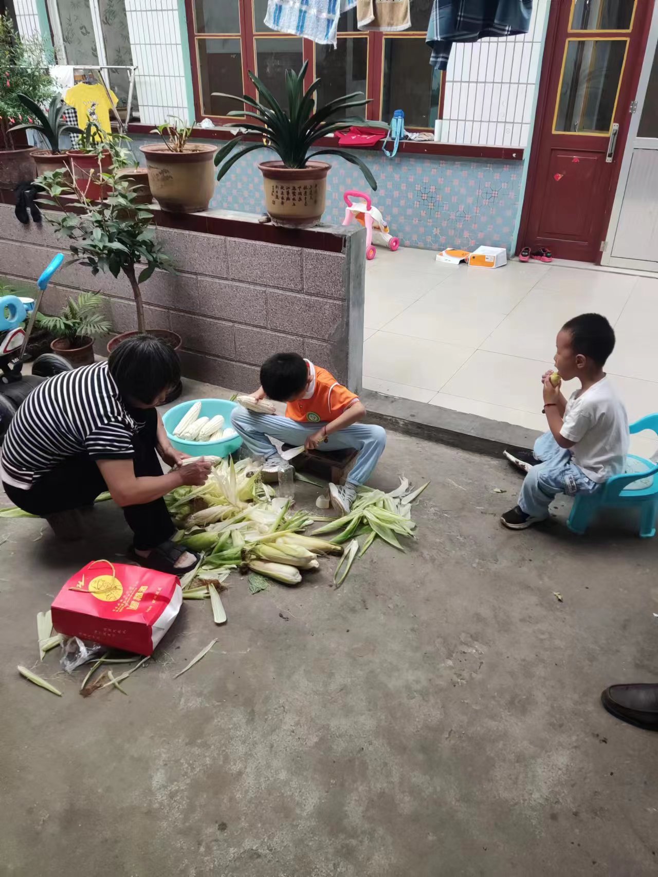 图像