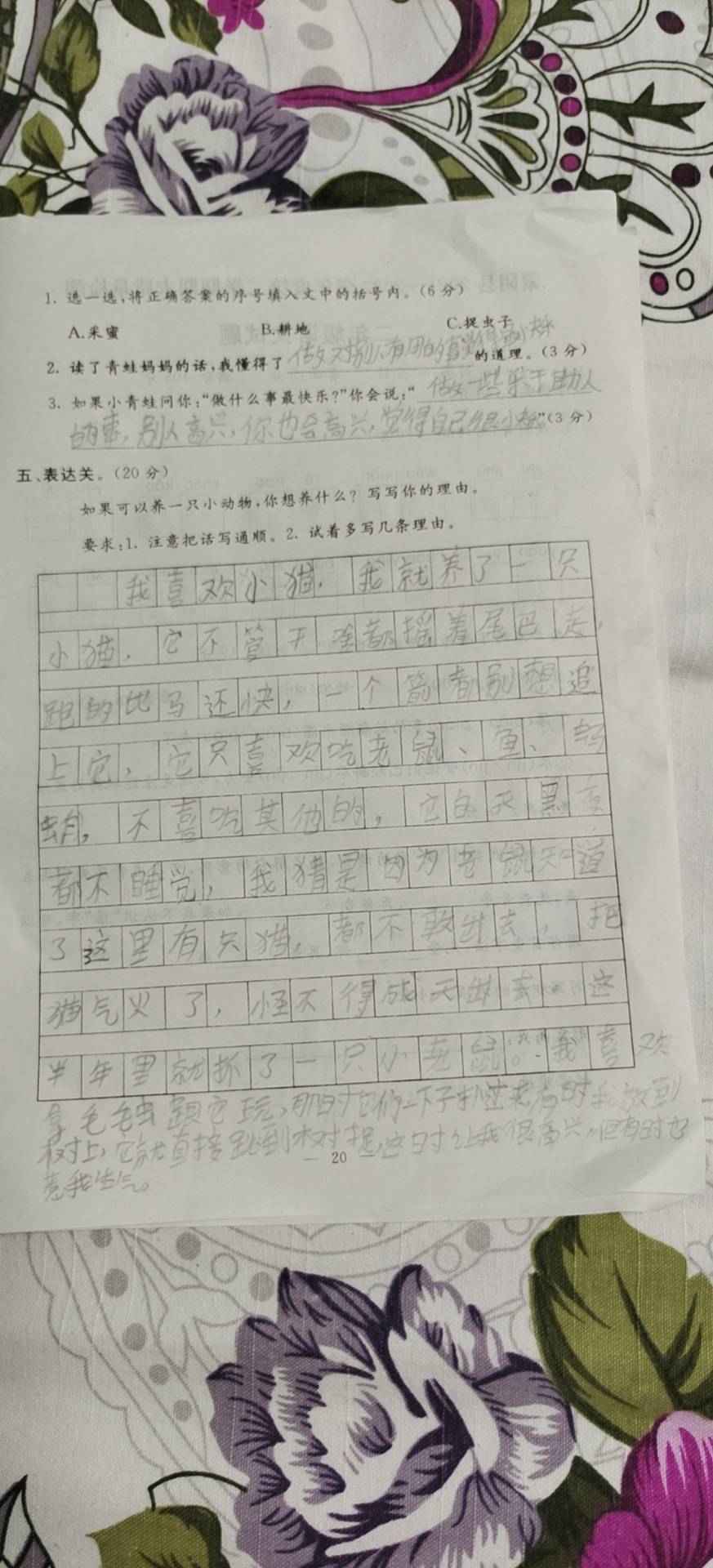图像