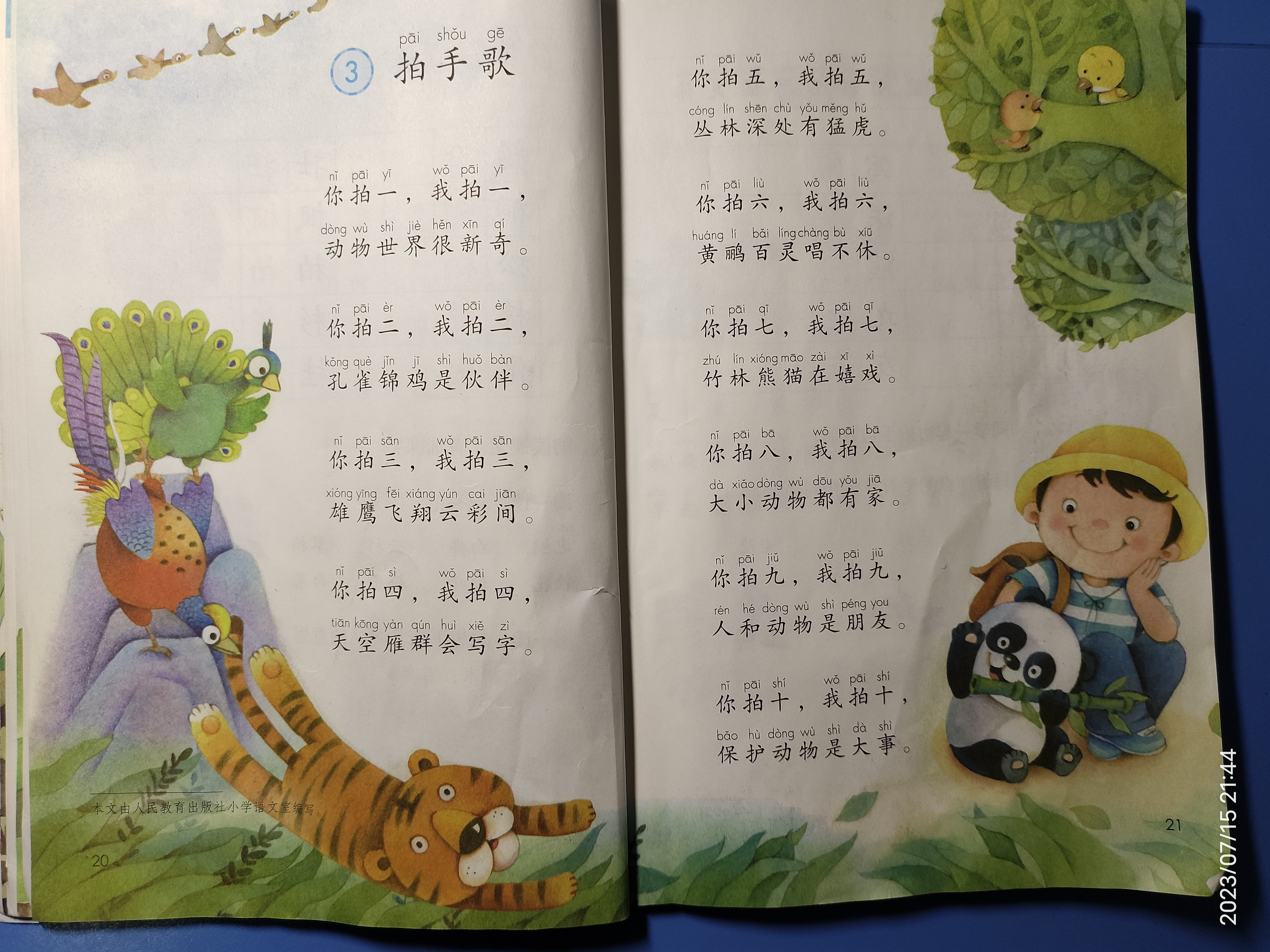 图像