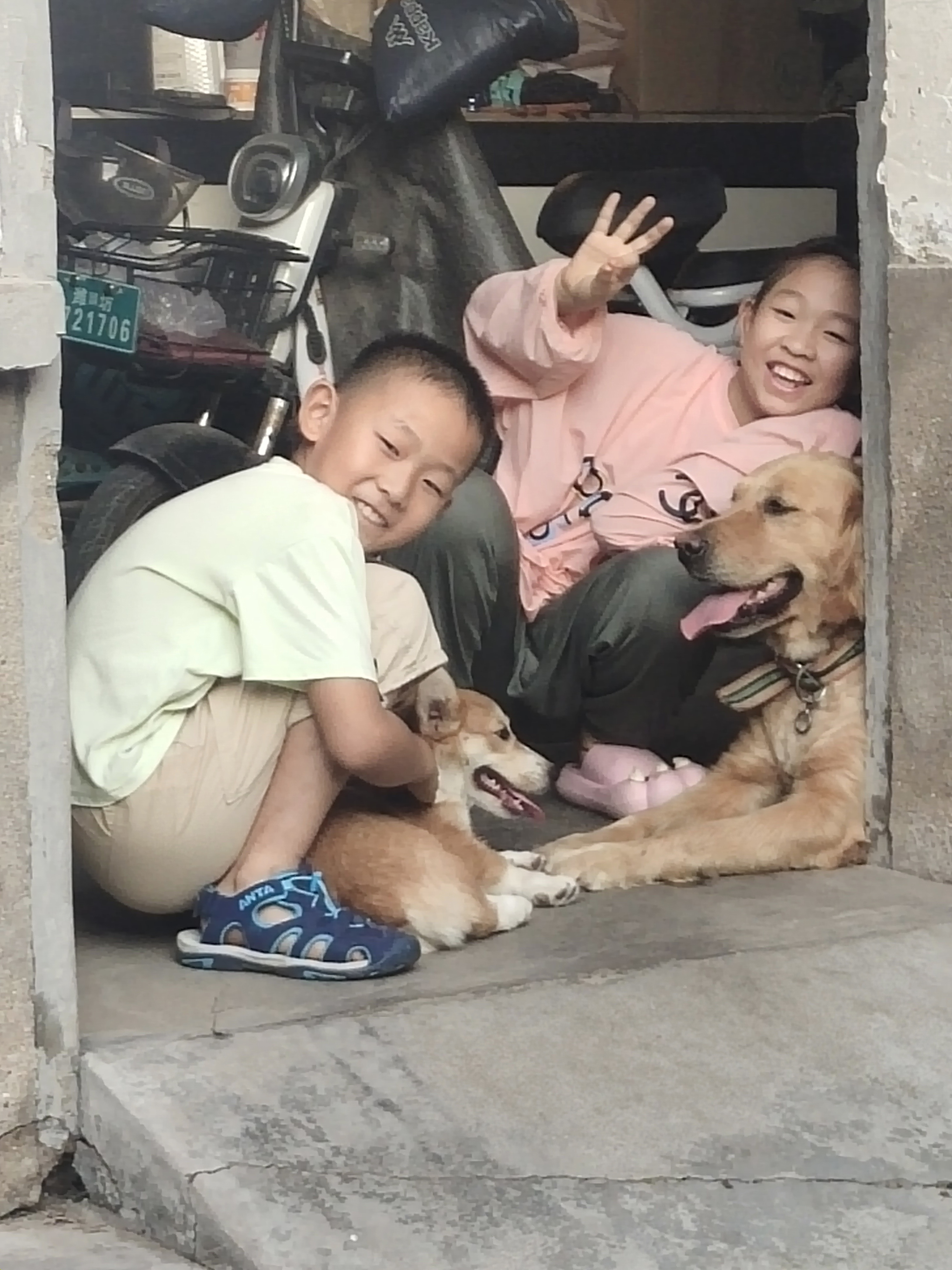 图像