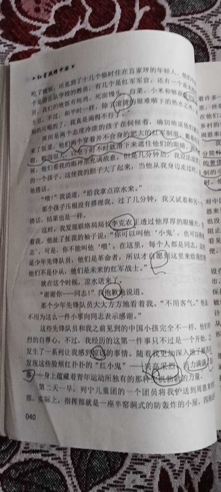 图像