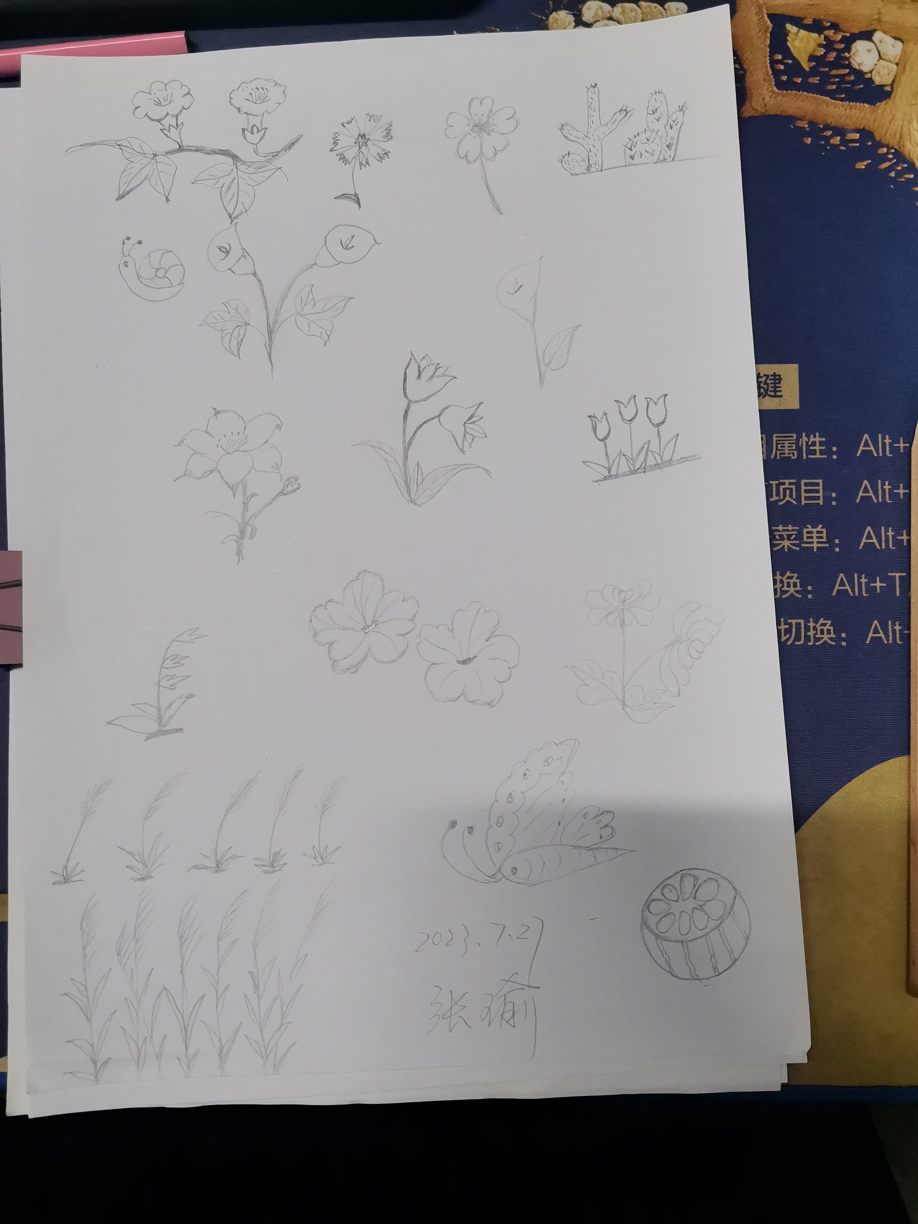 图像