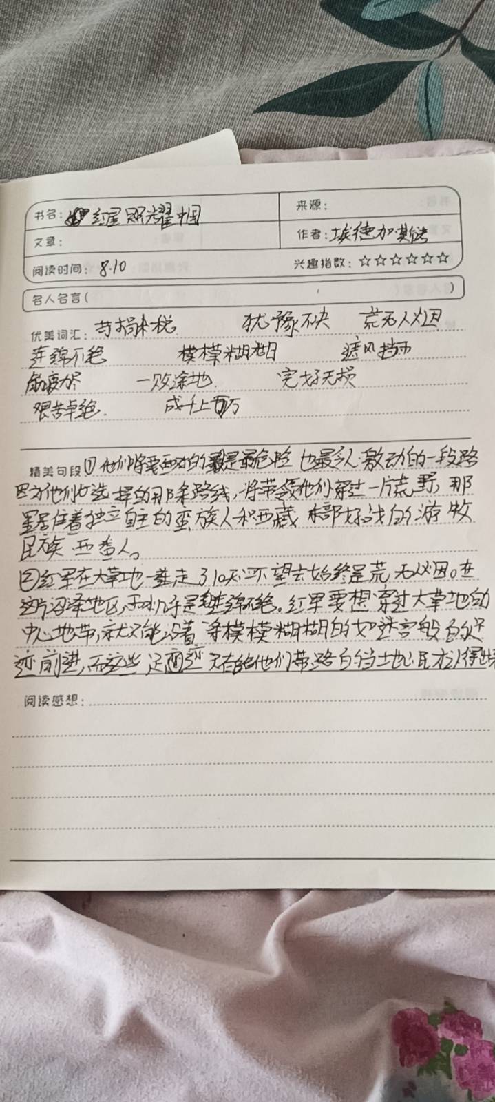 图像