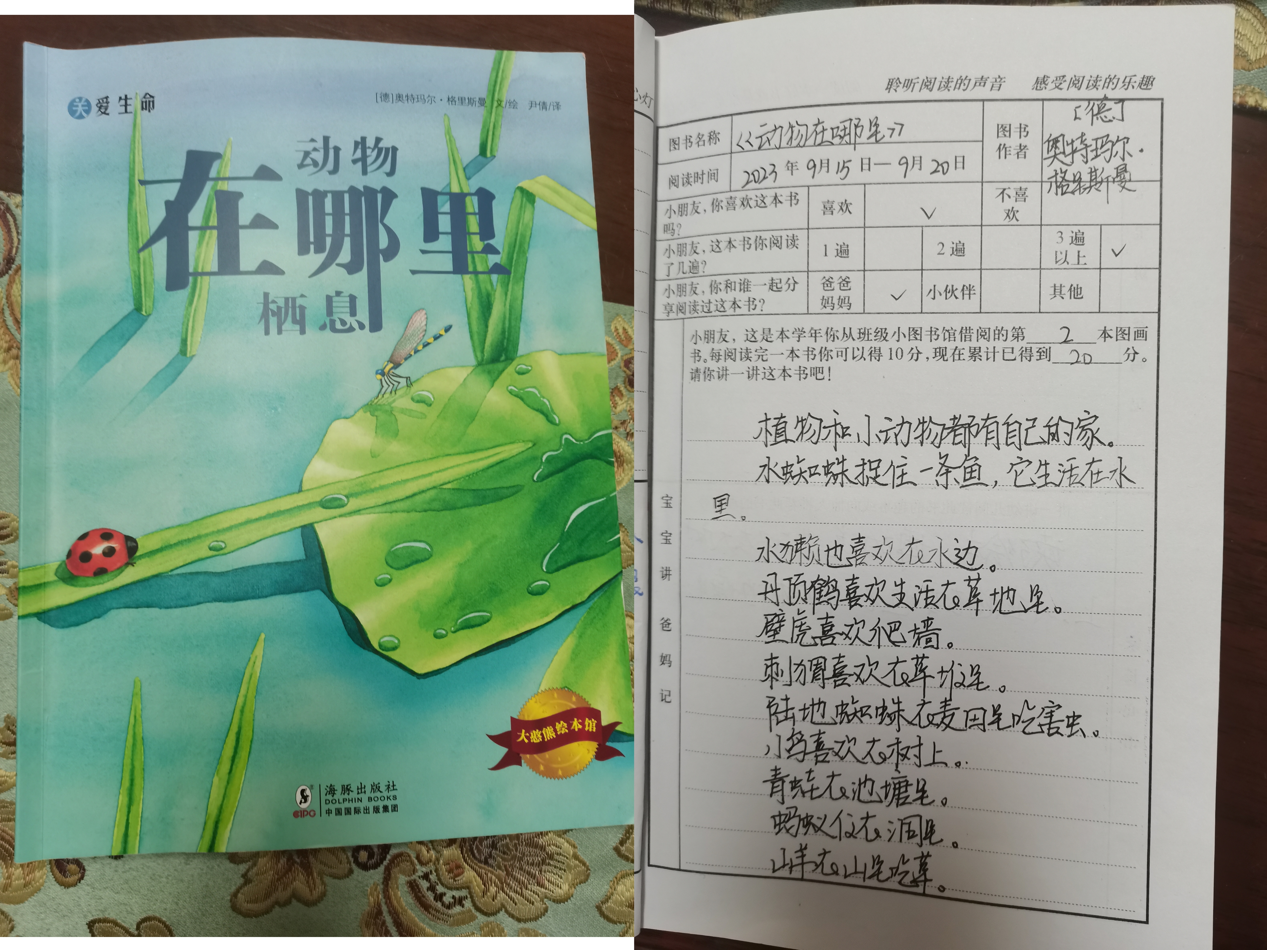 图像