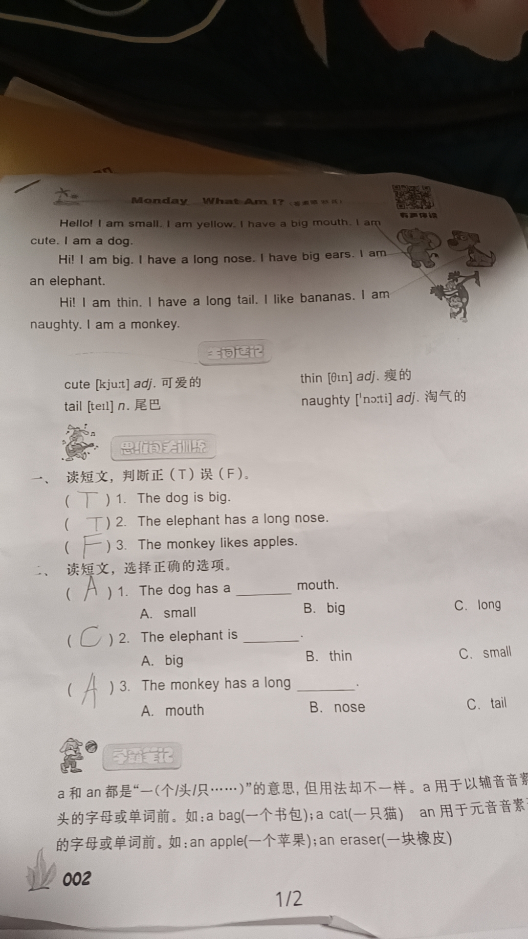 图像