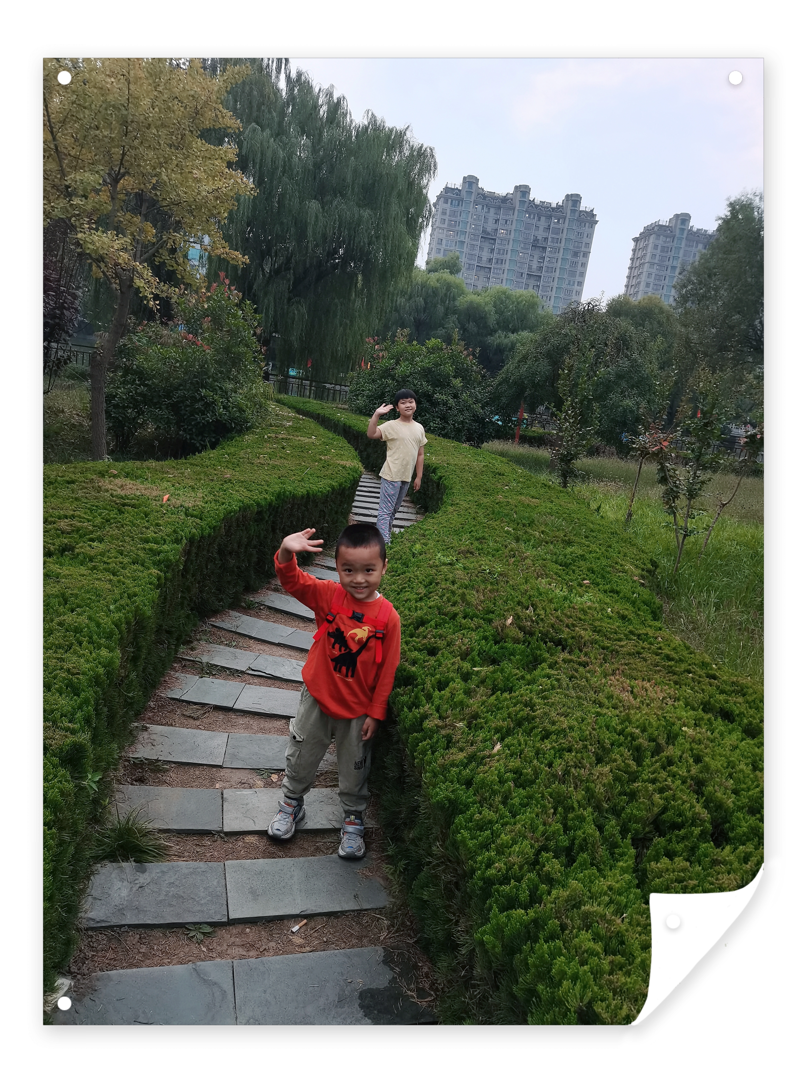 图像