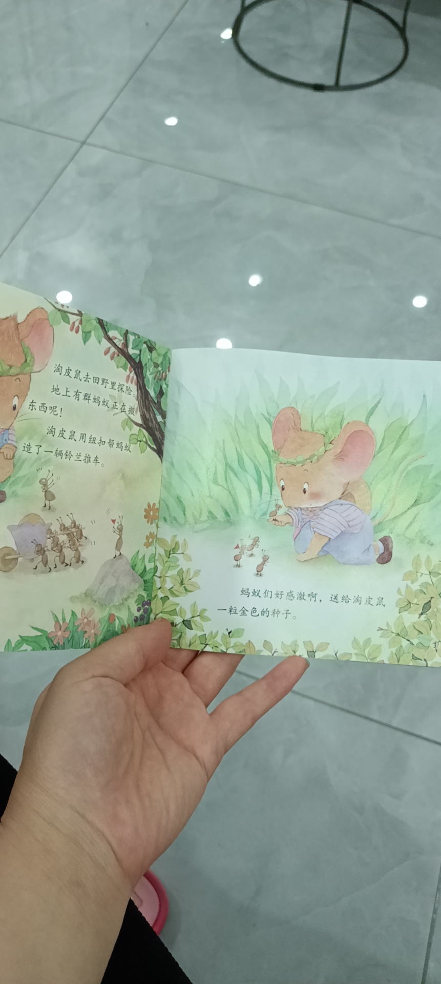 图像