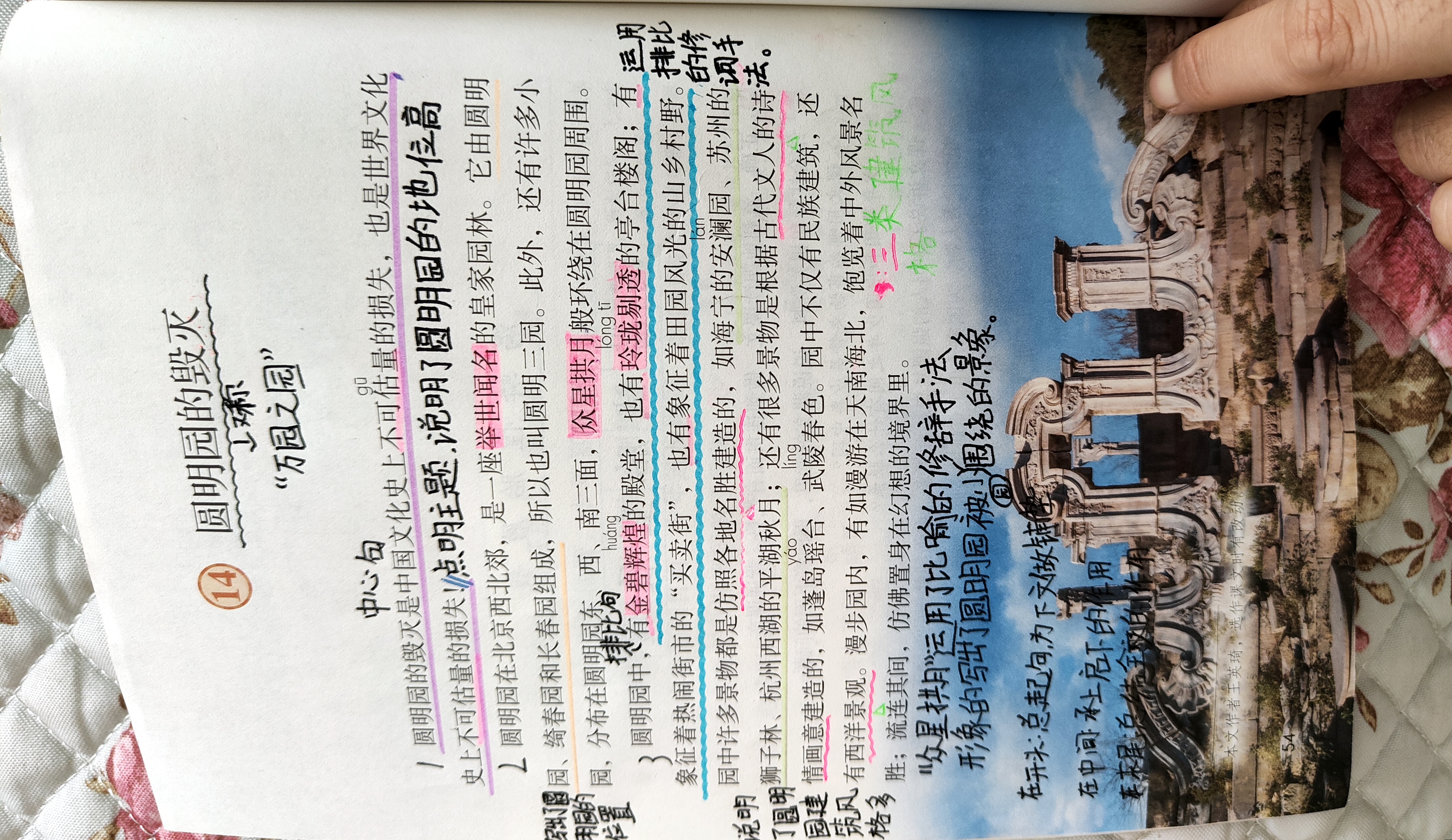 图像