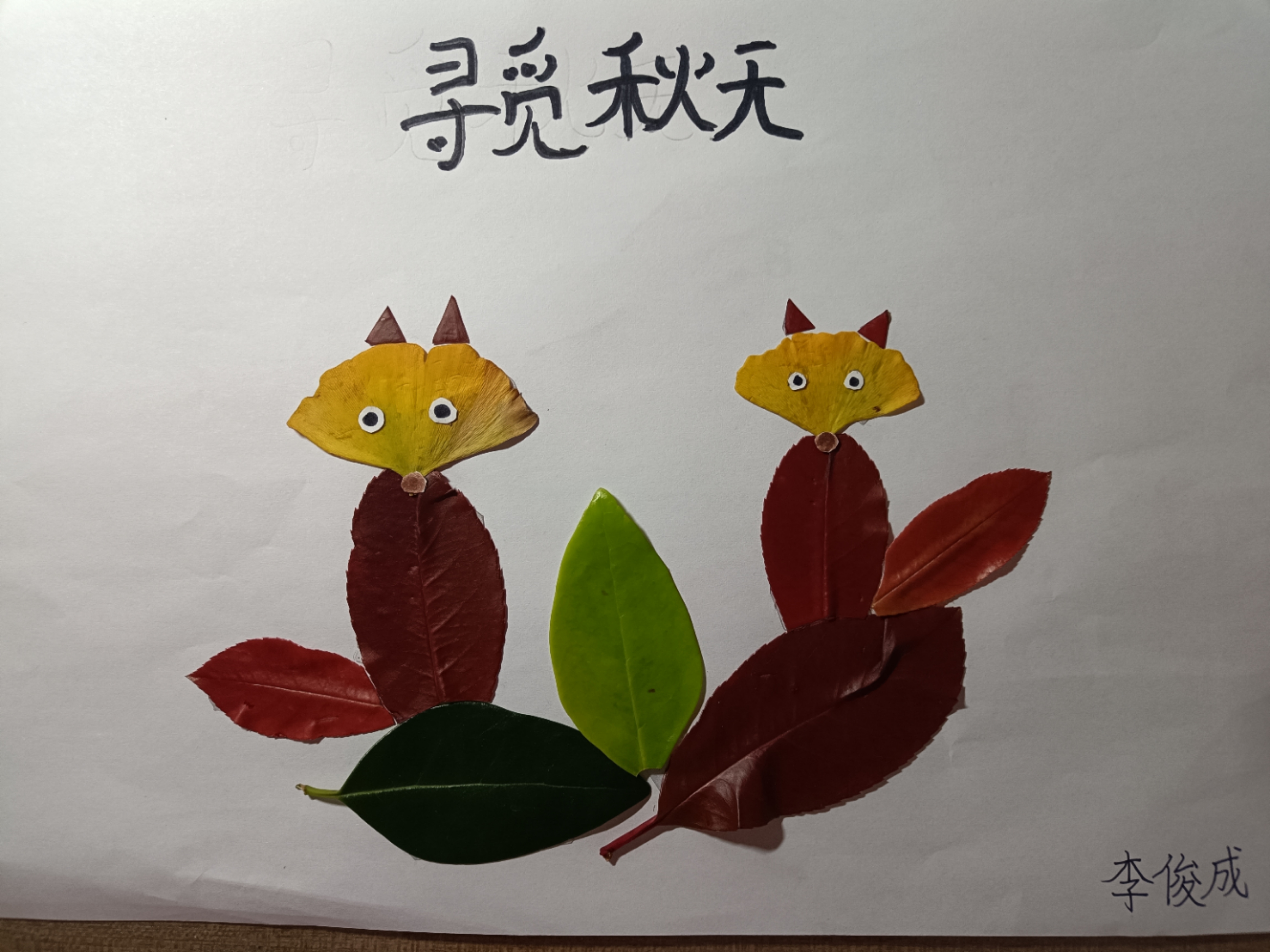 图像