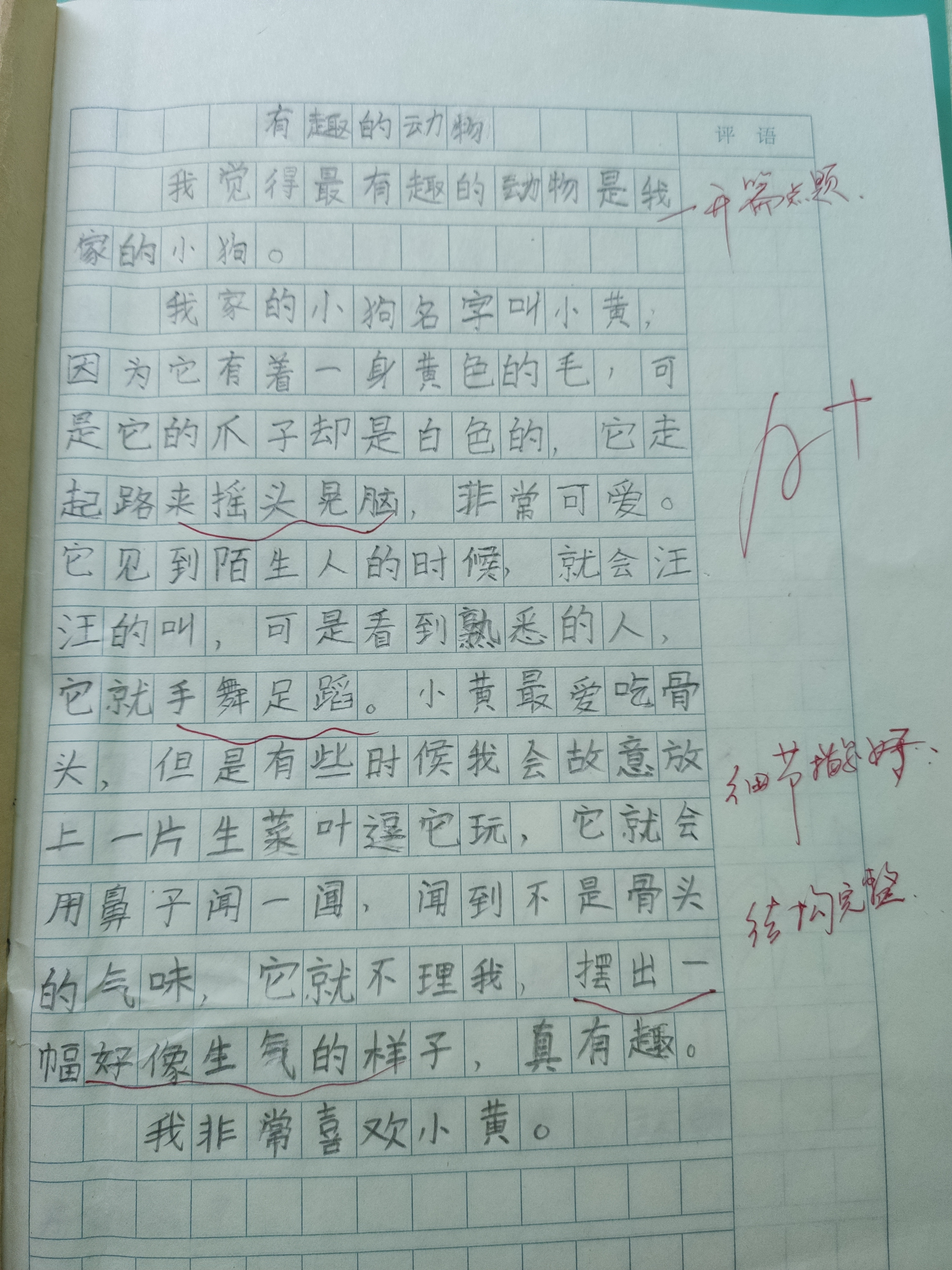 图像