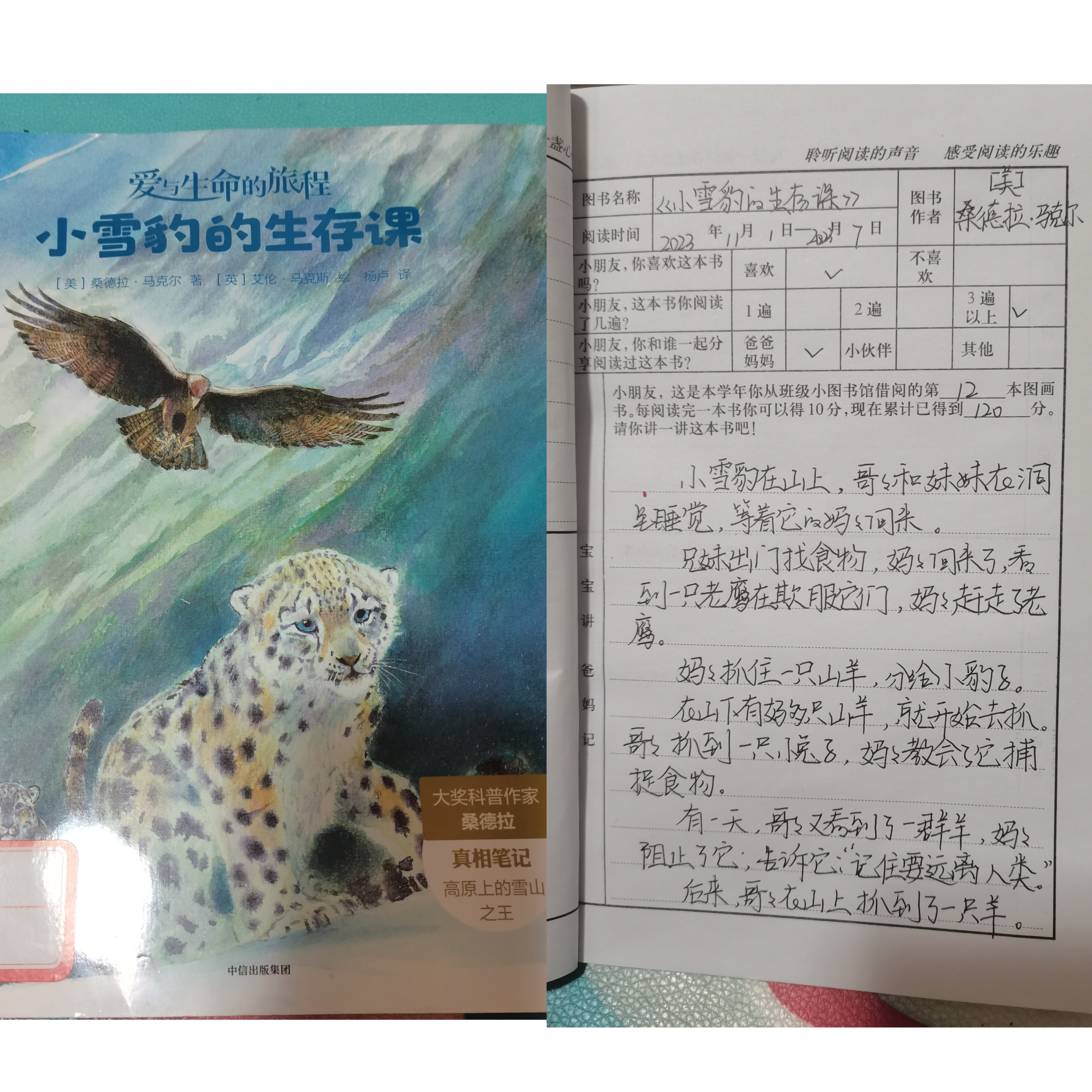 图像