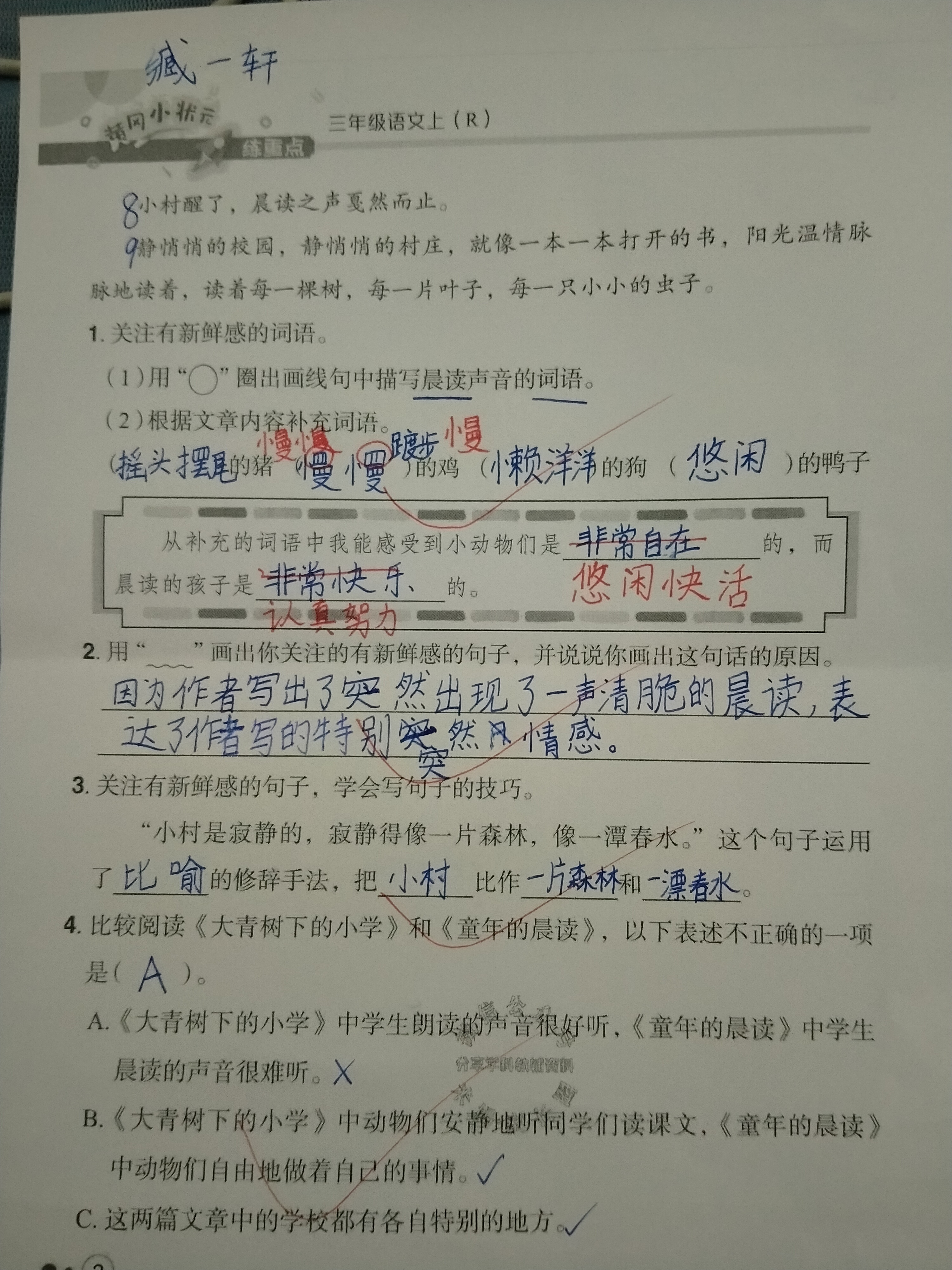 图像