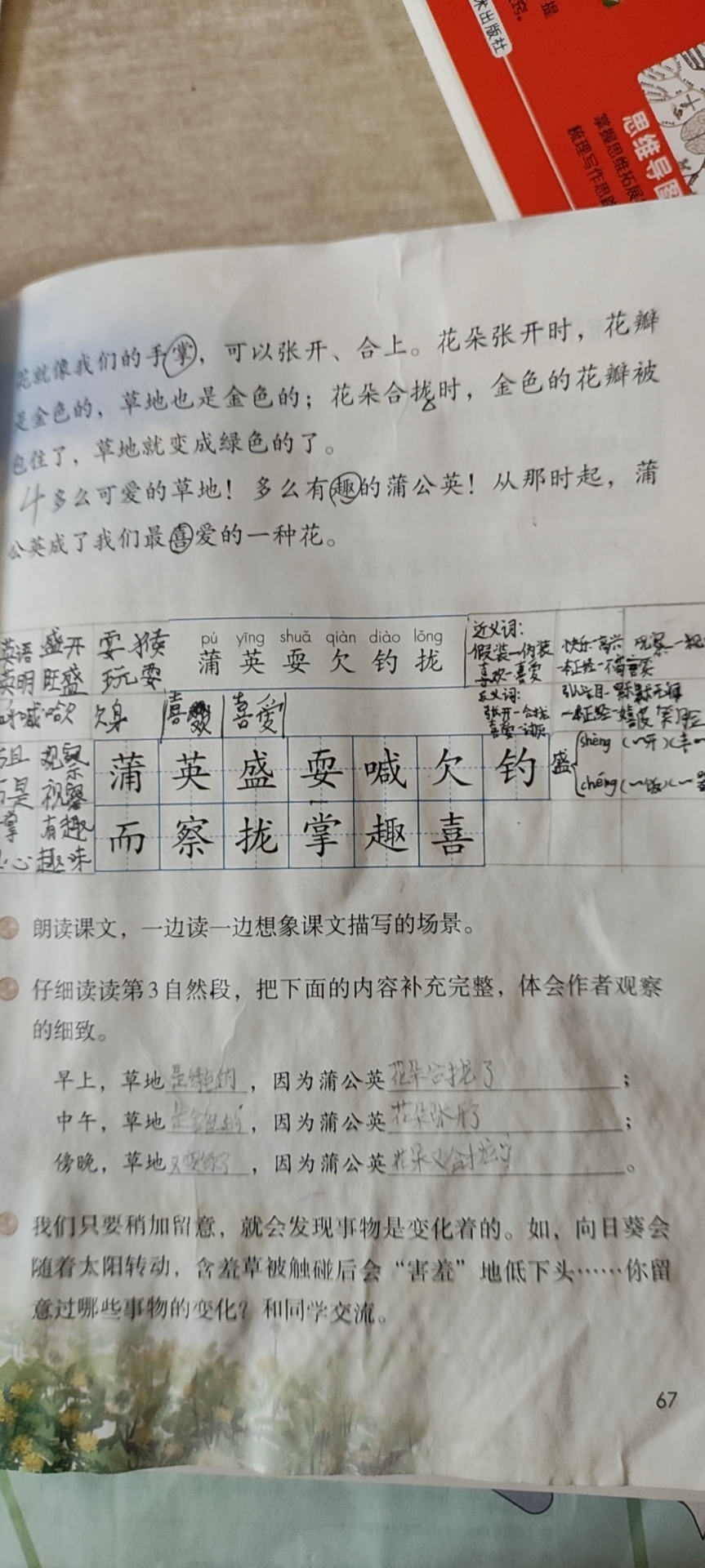 图像