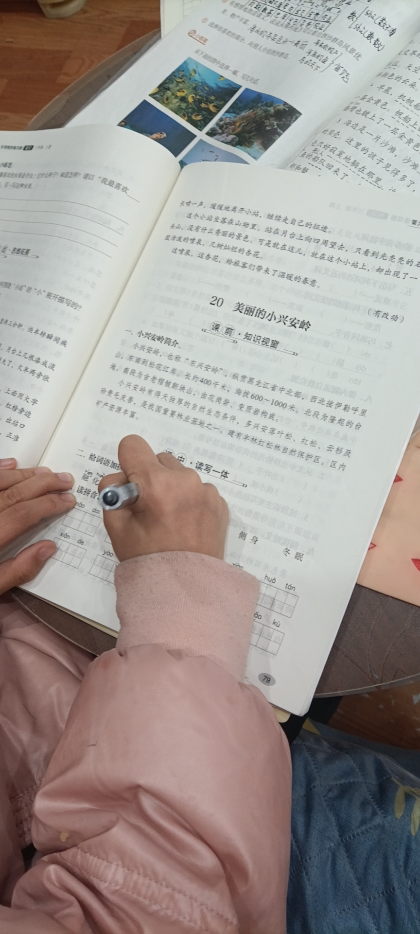 图像