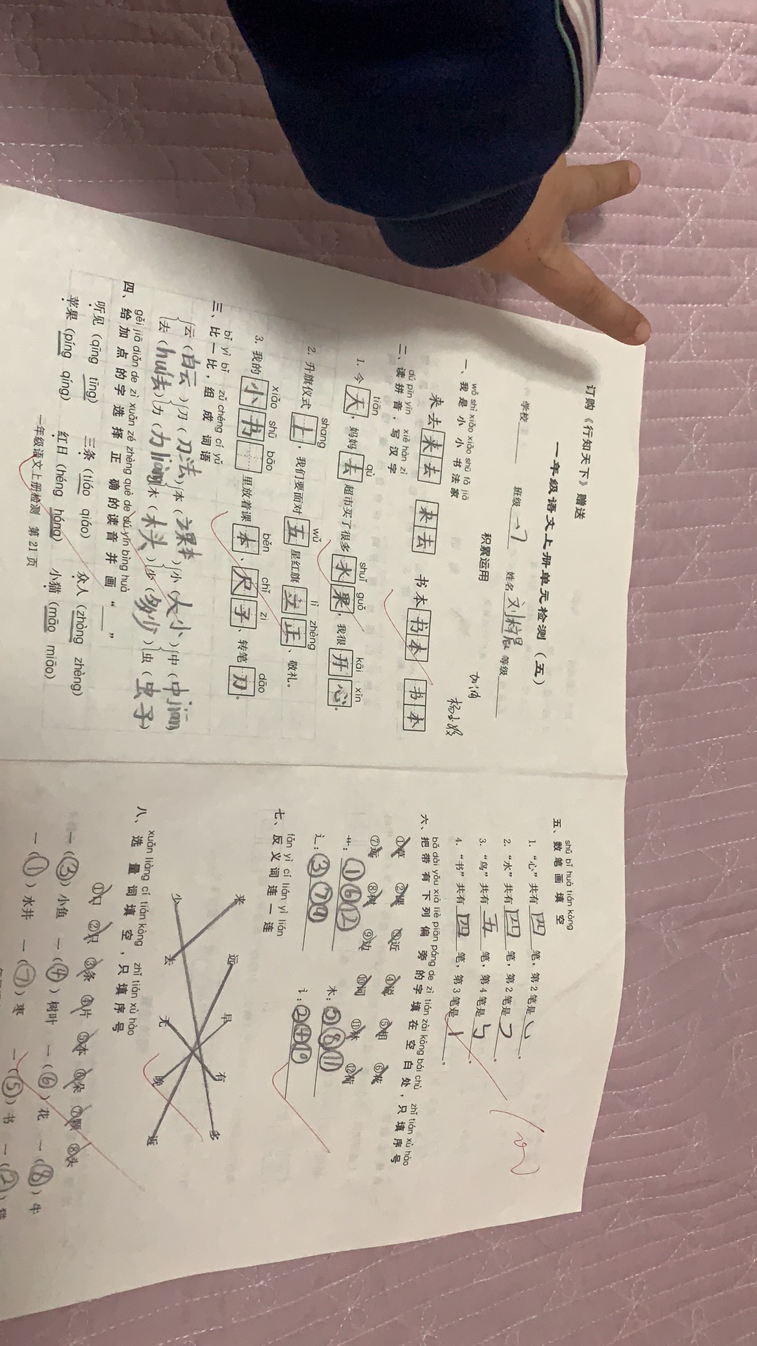 图像