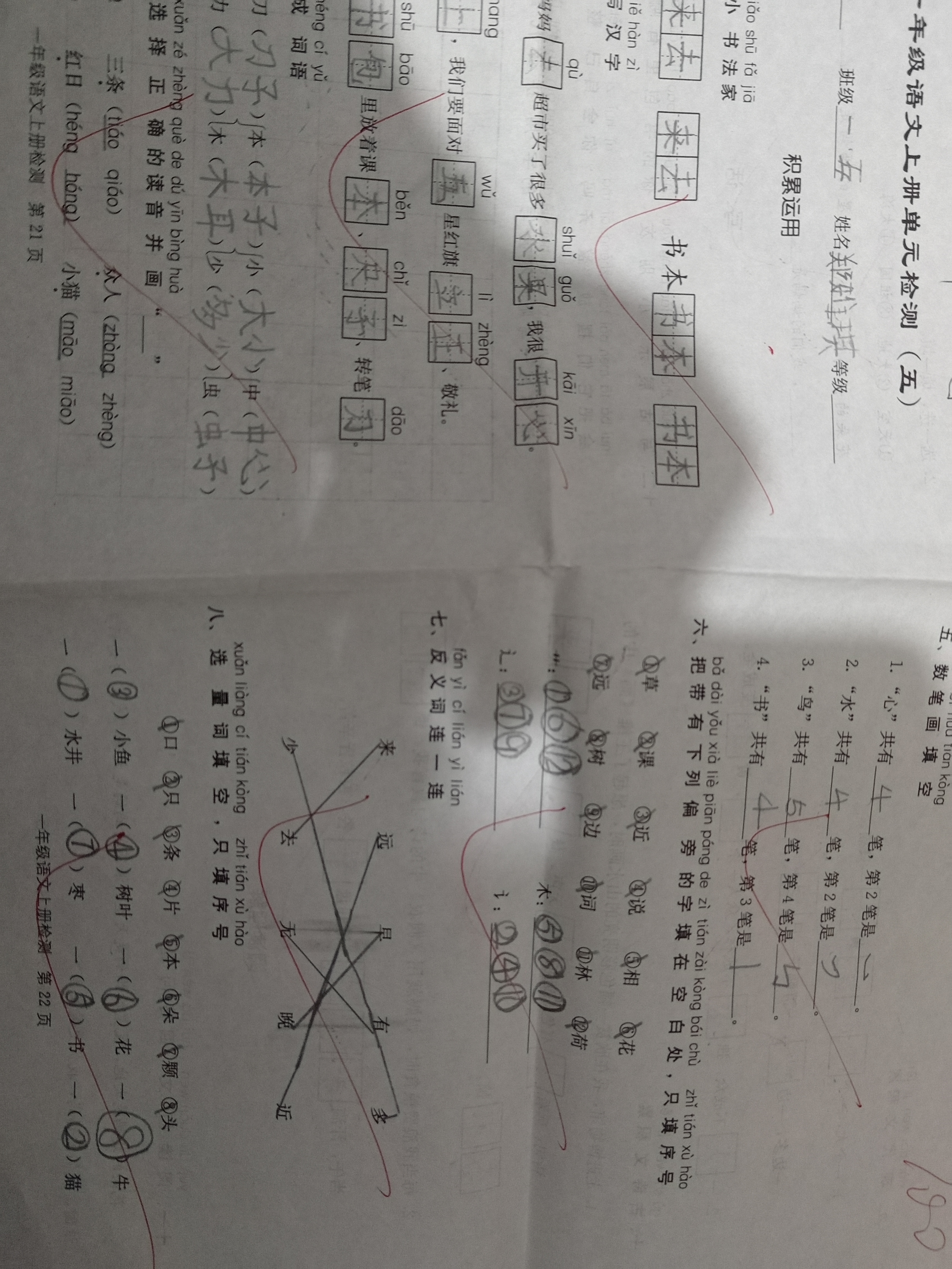 图像