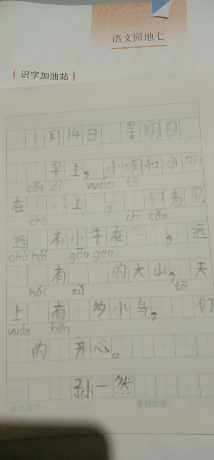 图像