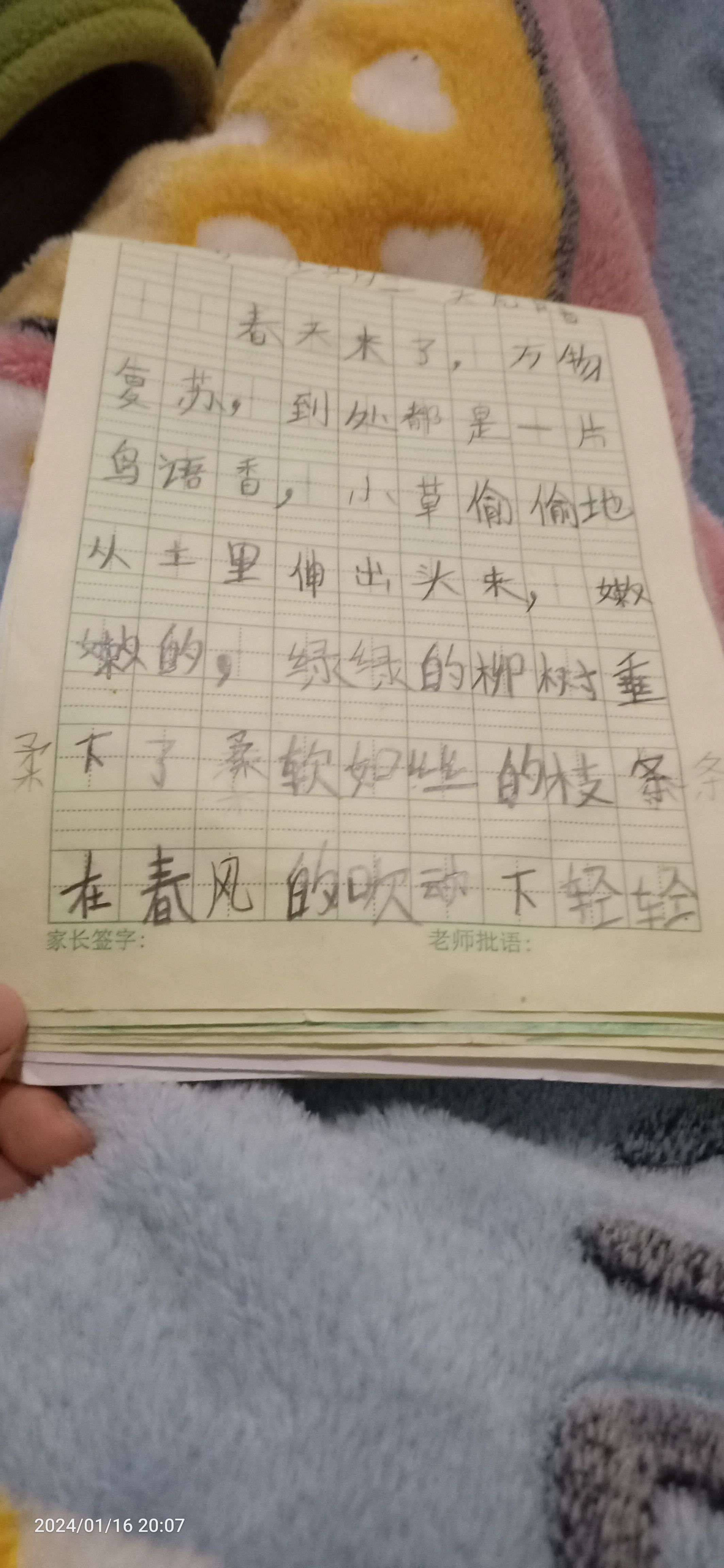 图像
