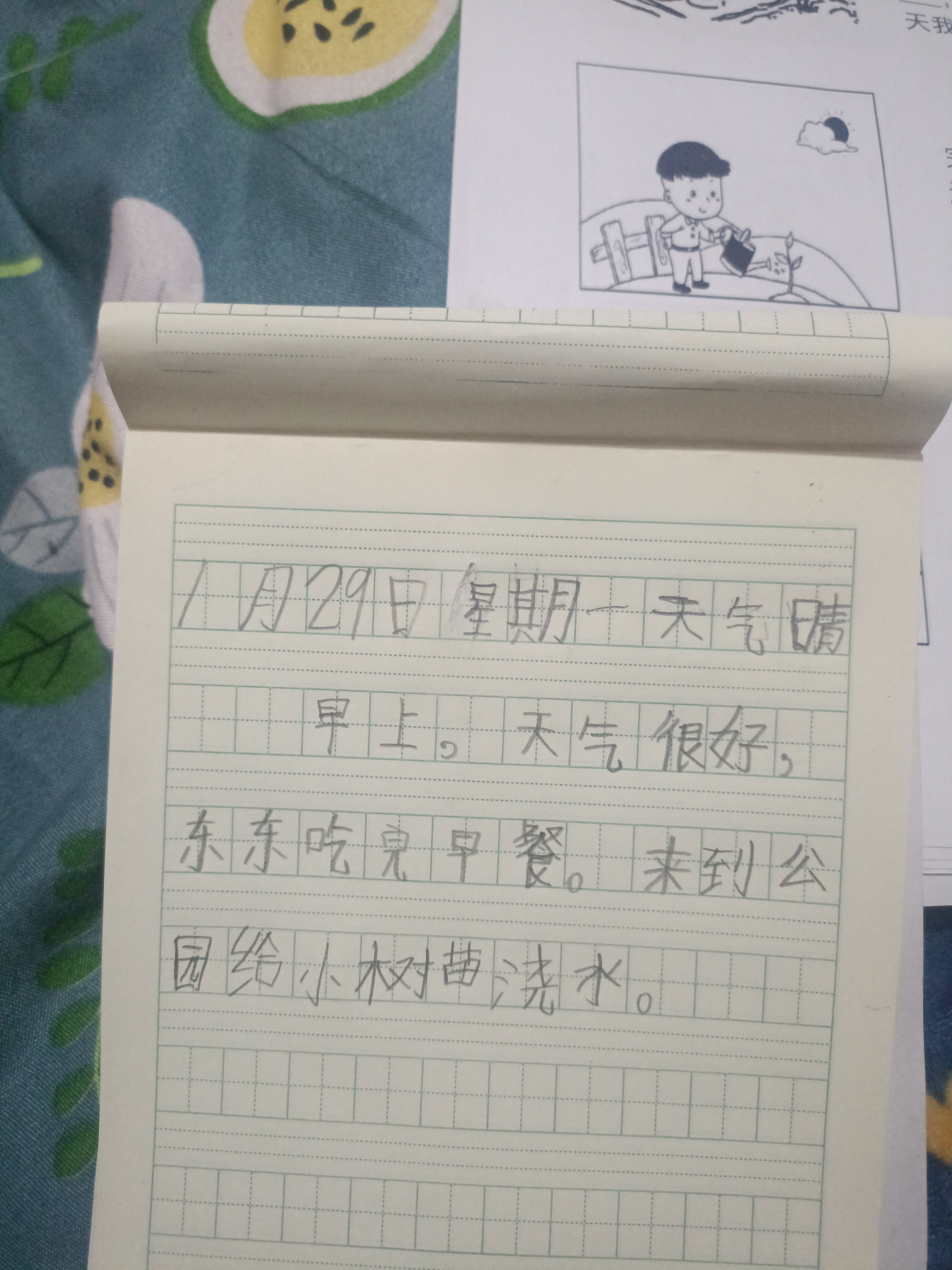 图像