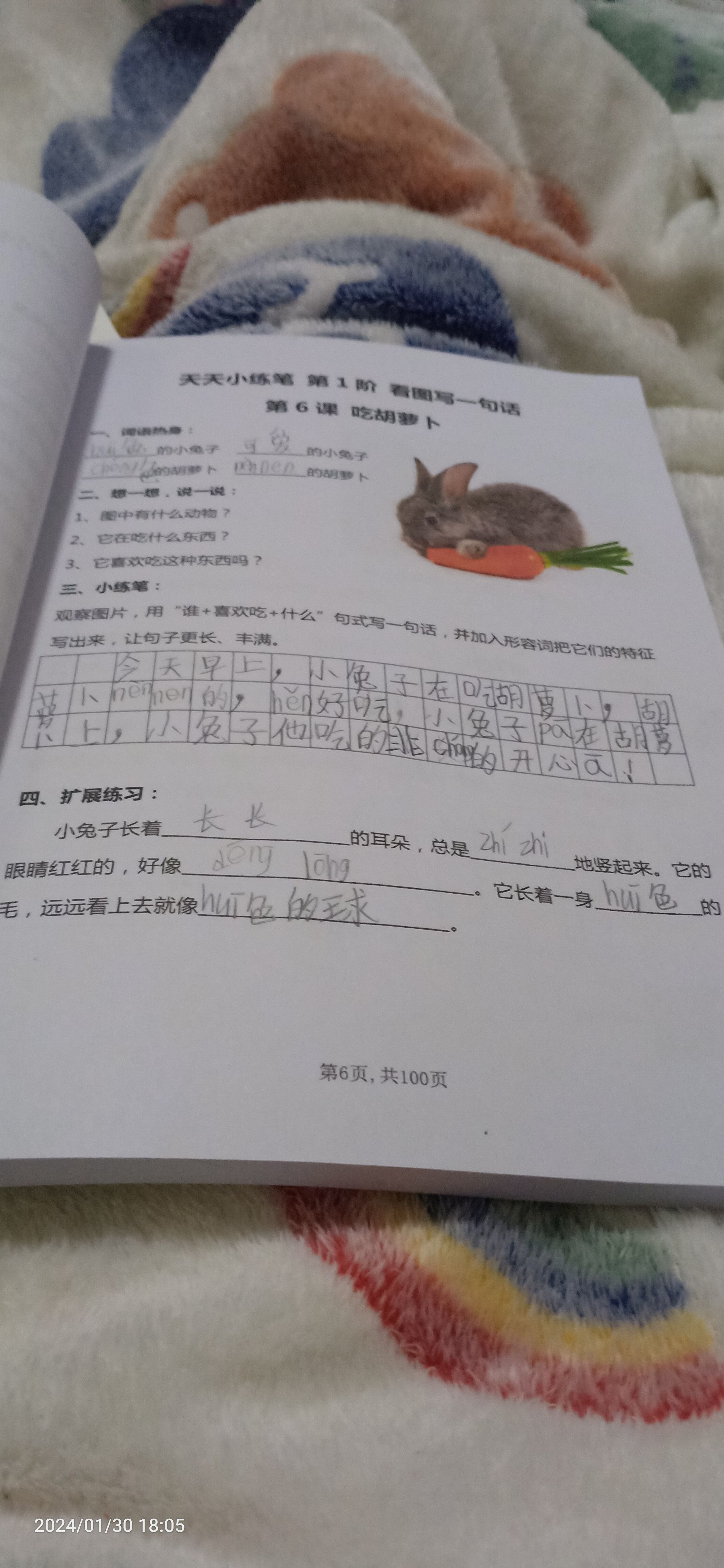 图像