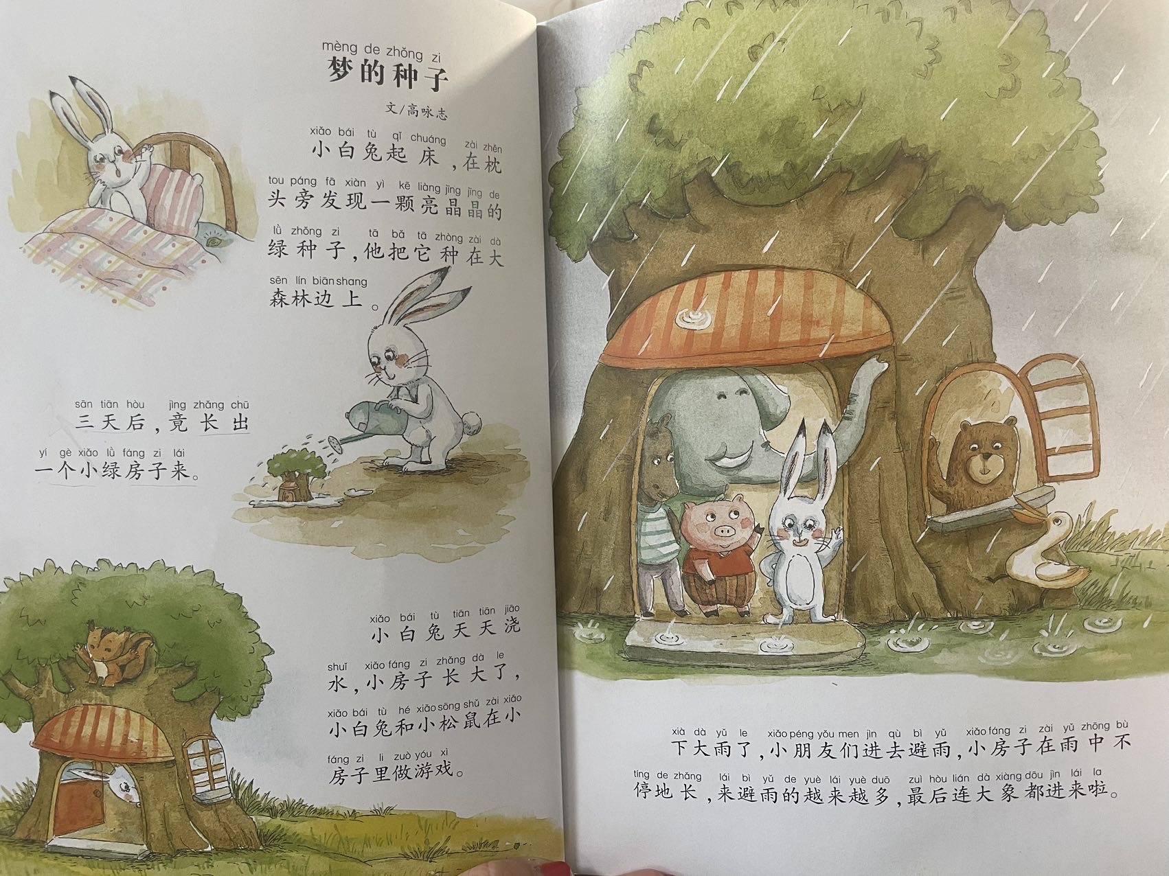 图像