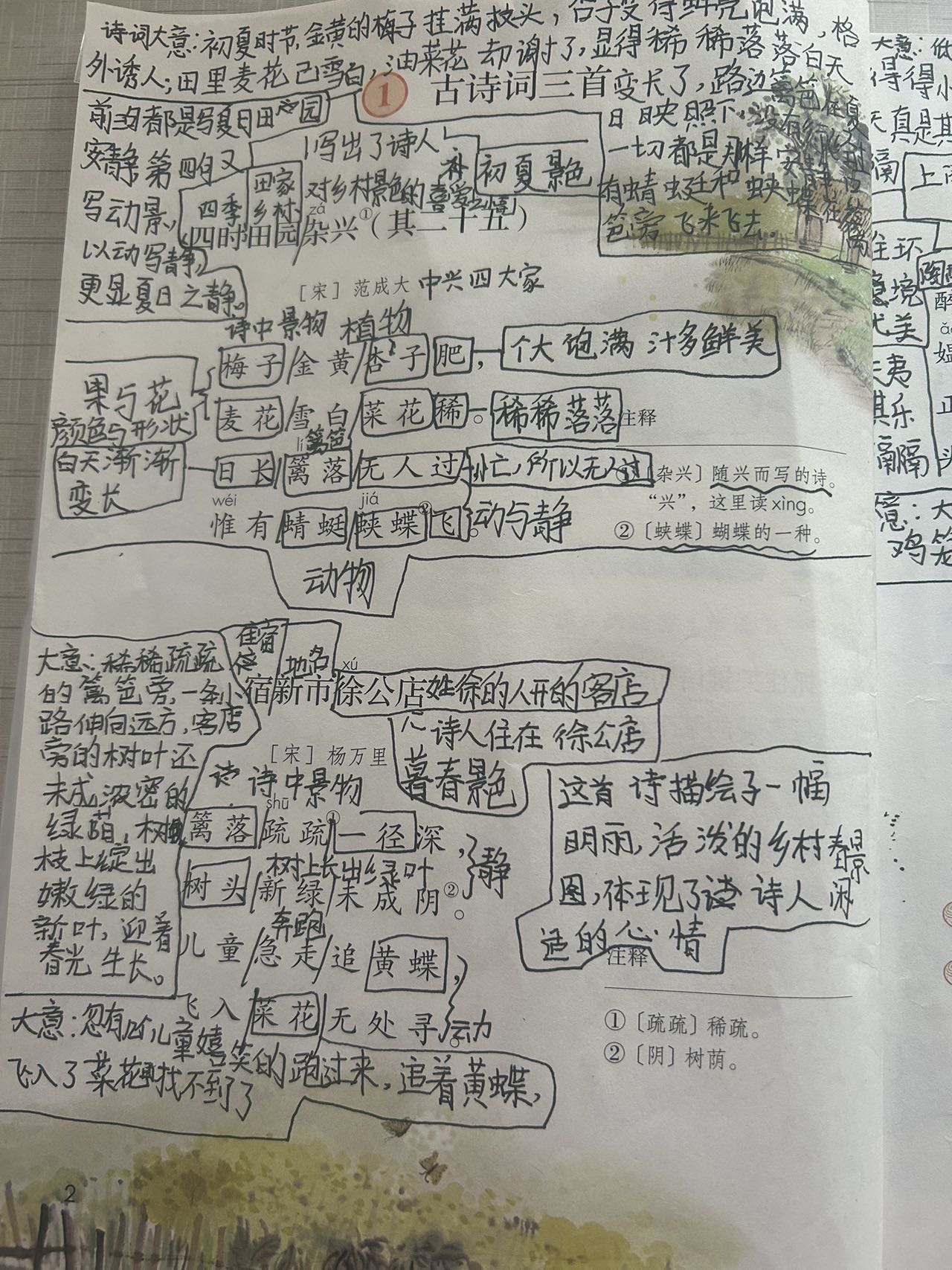 图像