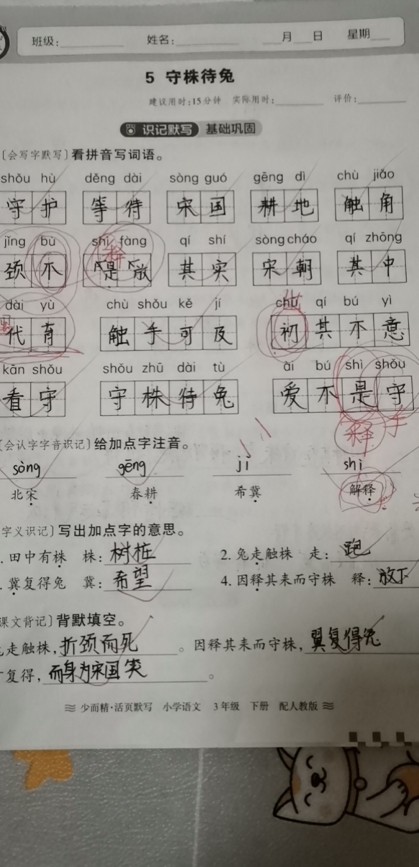 图像