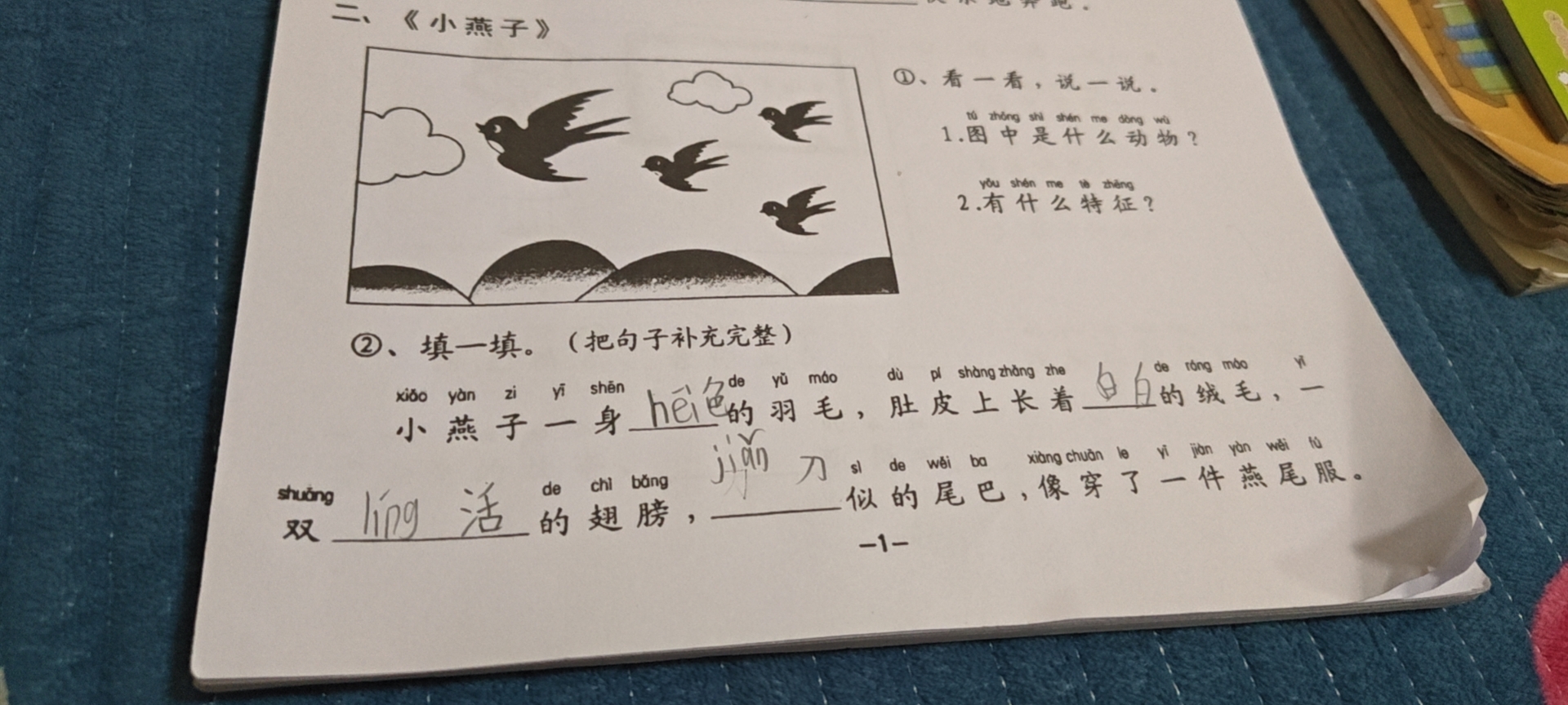 图像