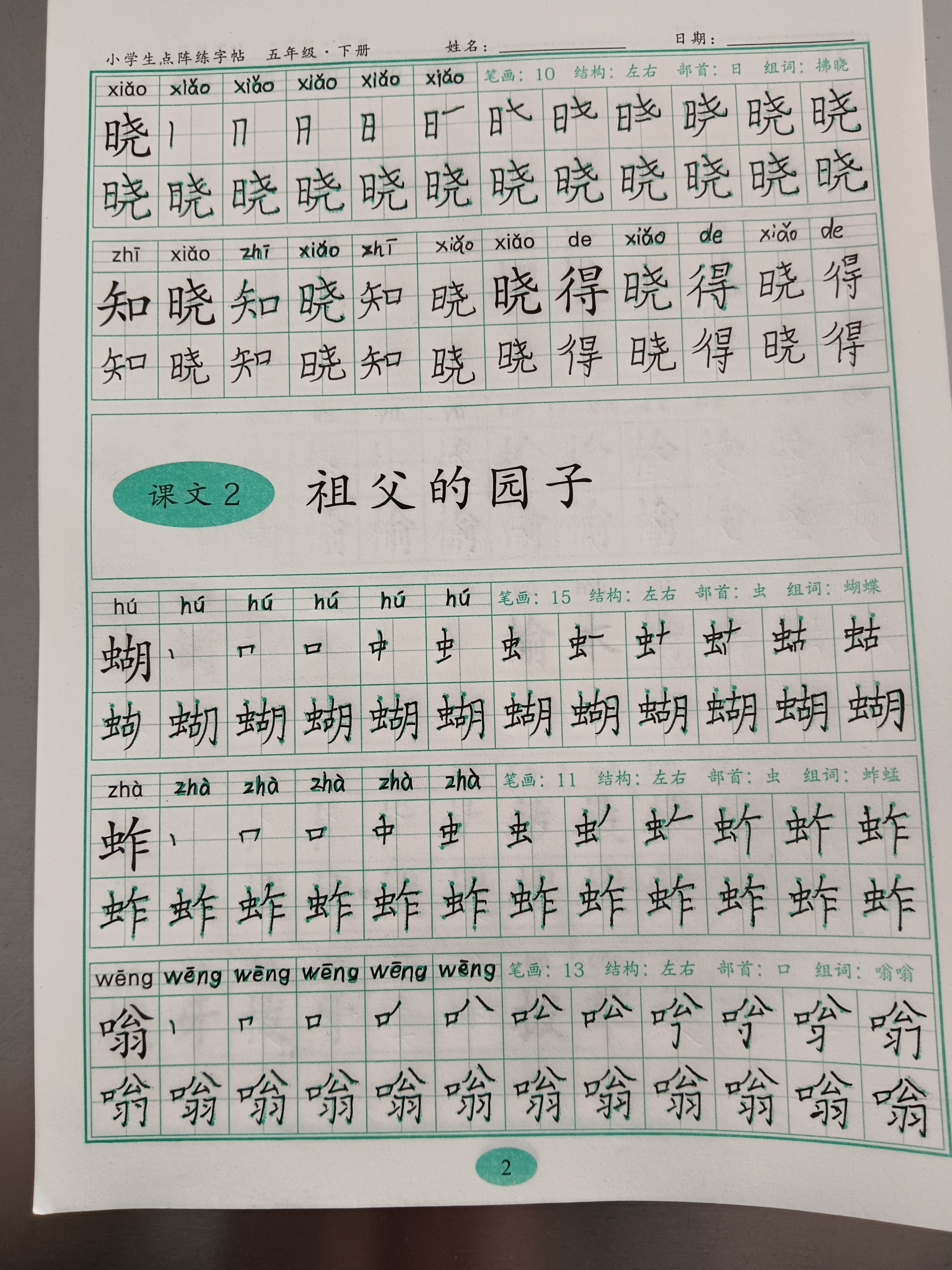 图像