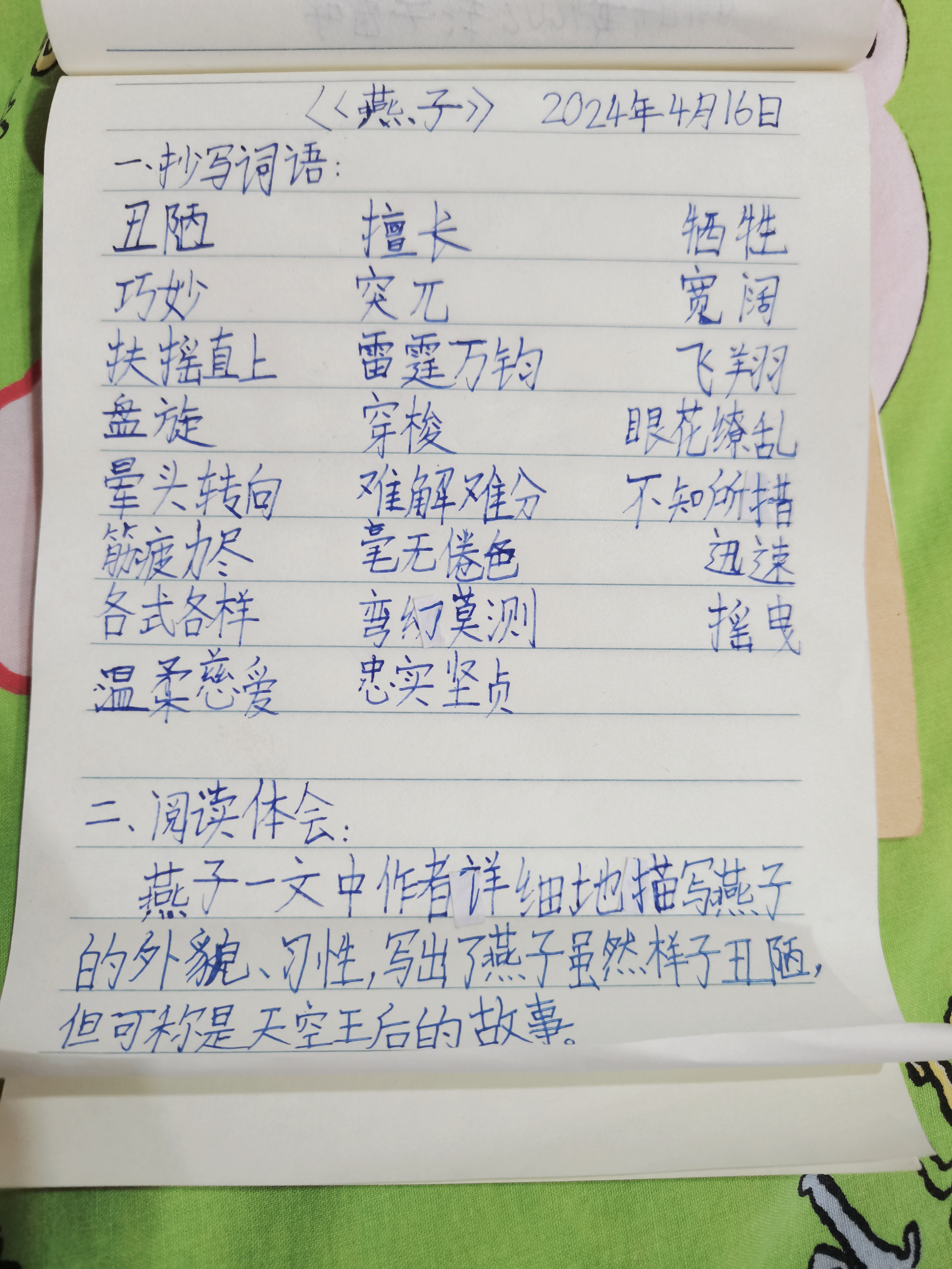 图像