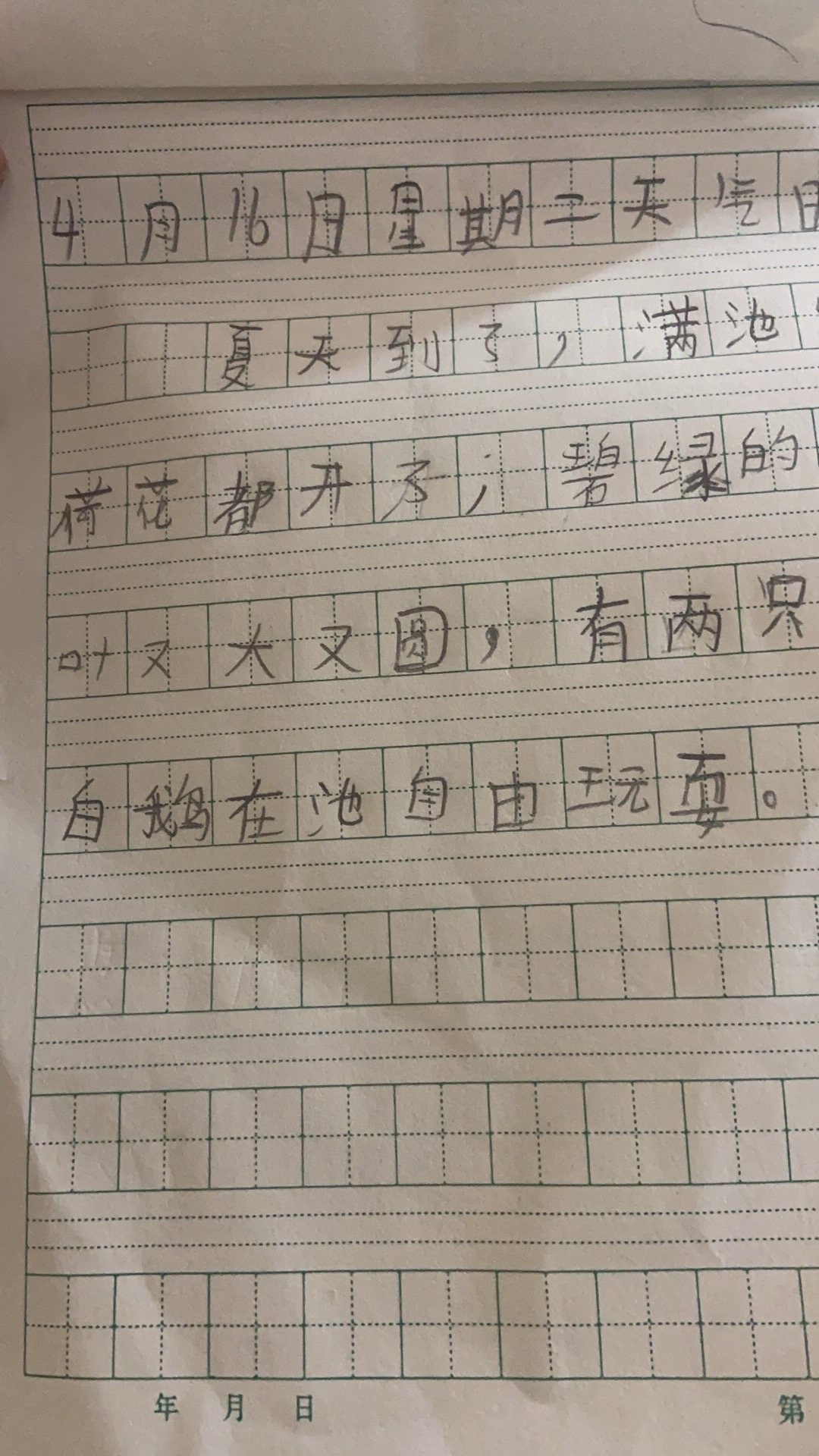 图像