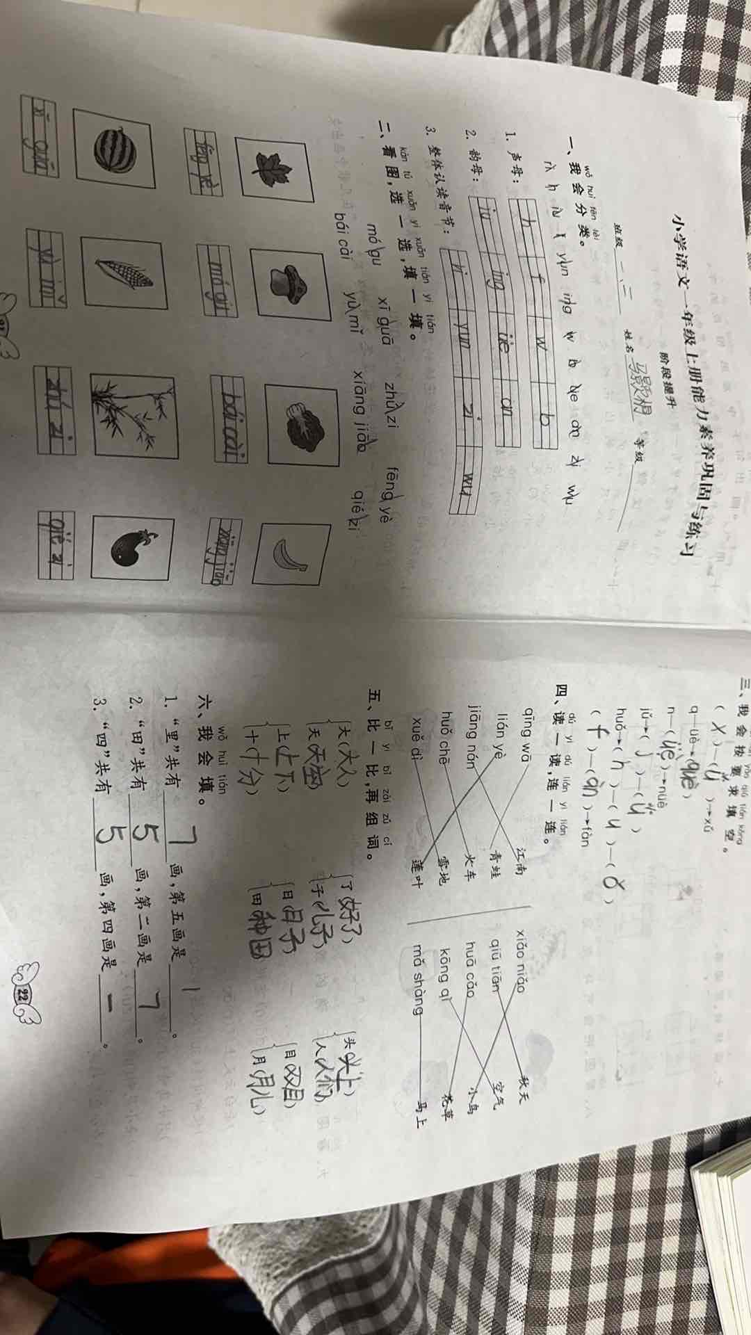 图像