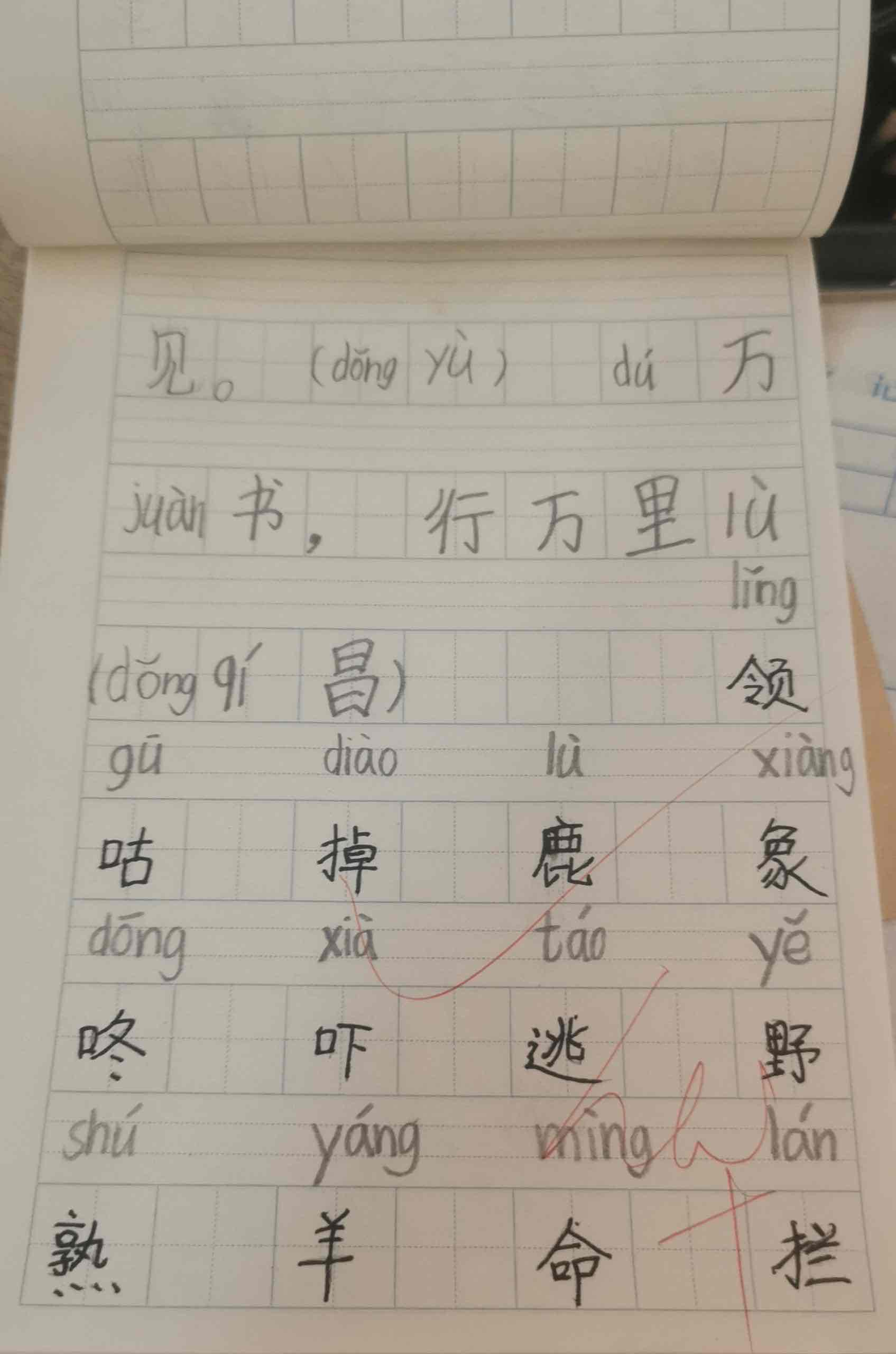 图像
