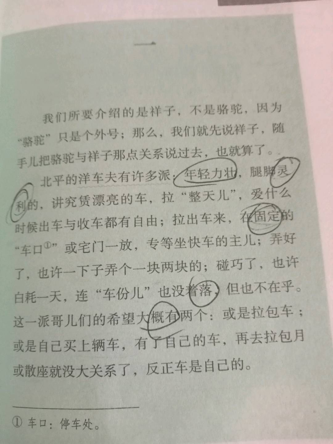 图像