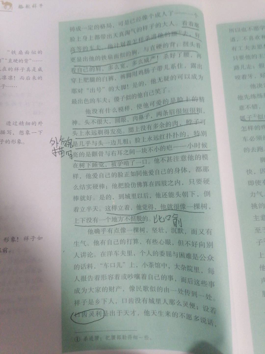 图像
