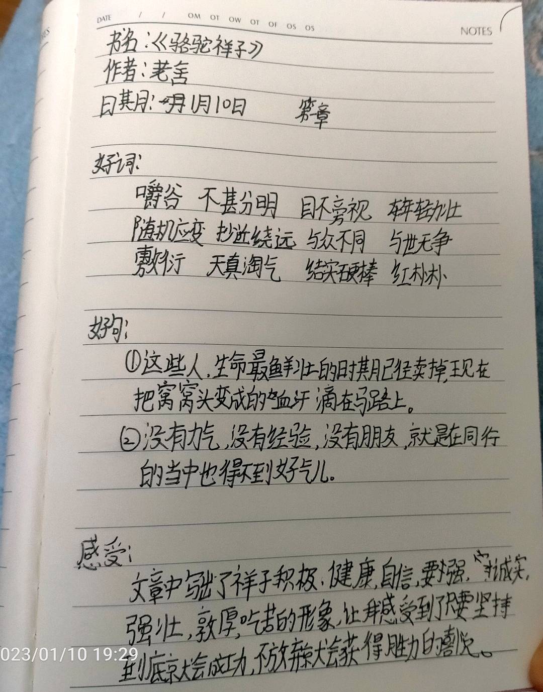 图像